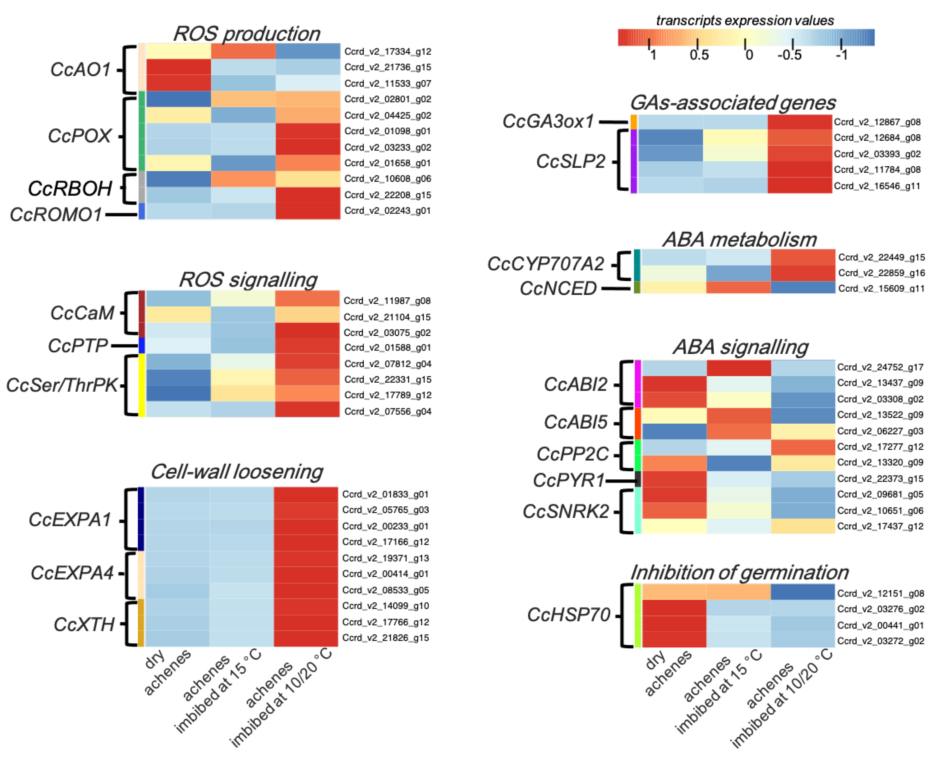 Horticulturae 08 00960 g004