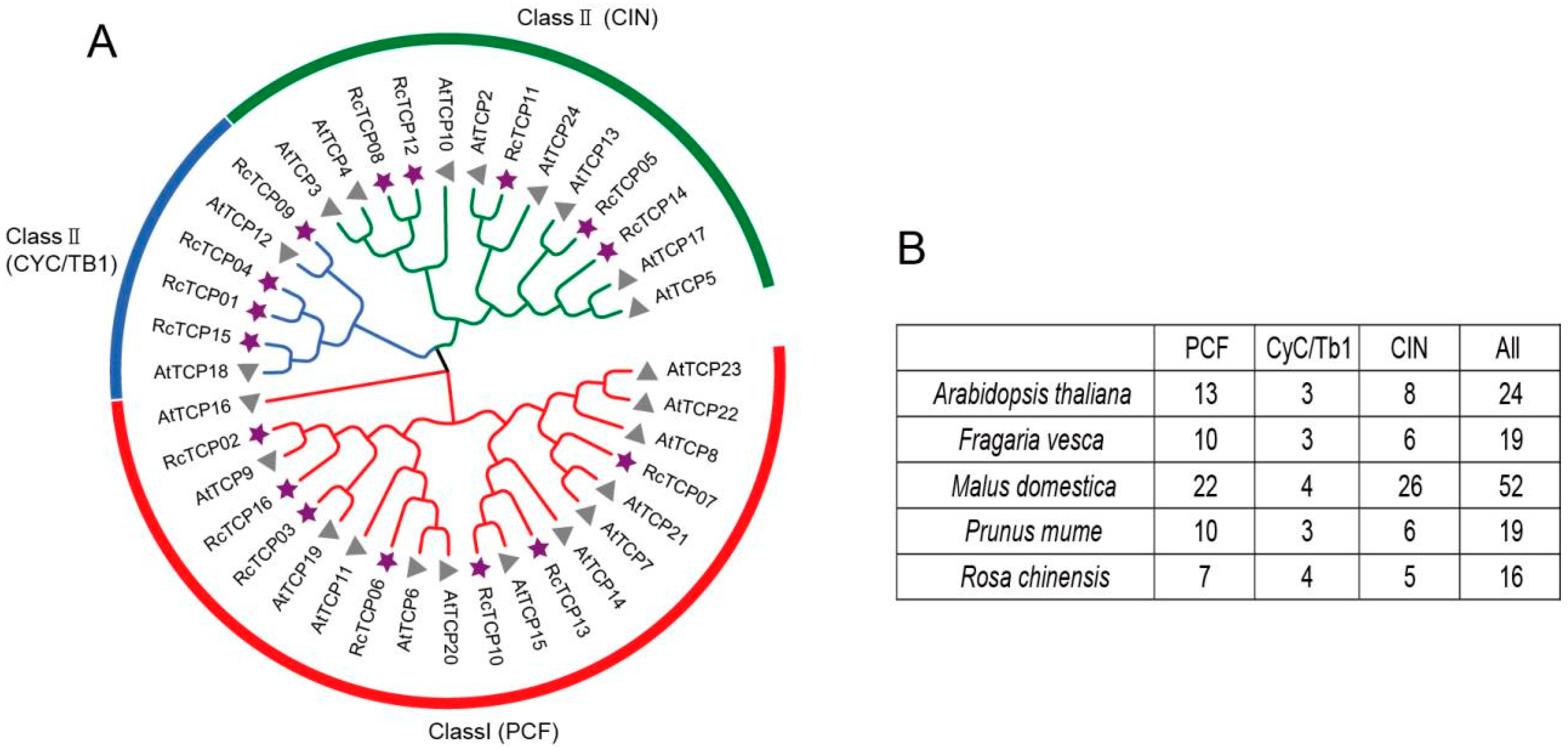 Horticulturae 08 00961 g002 Horticulturae 08 00961 g002