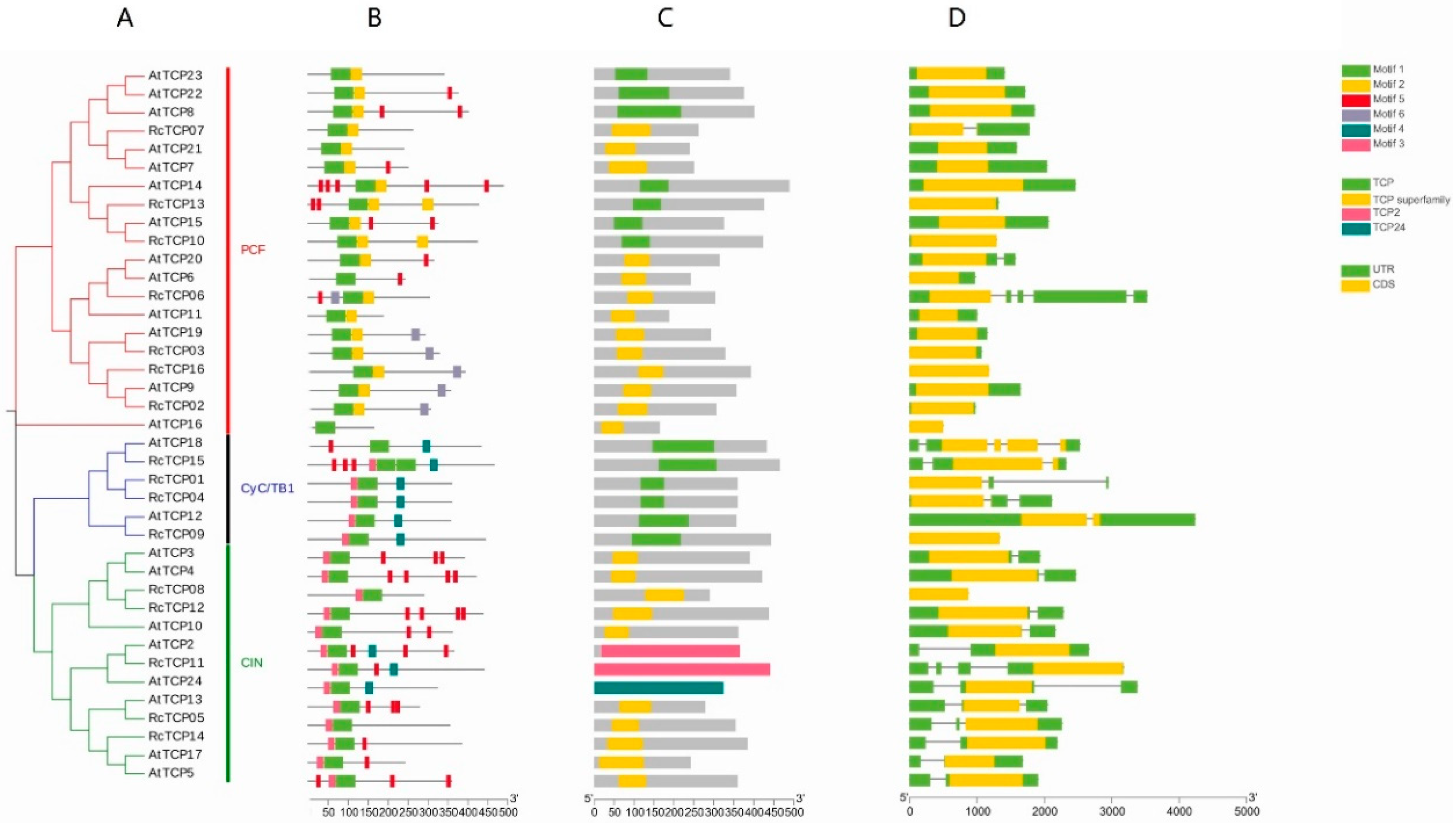 Horticulturae 08 00961 g003 Horticulturae 08 00961 g003