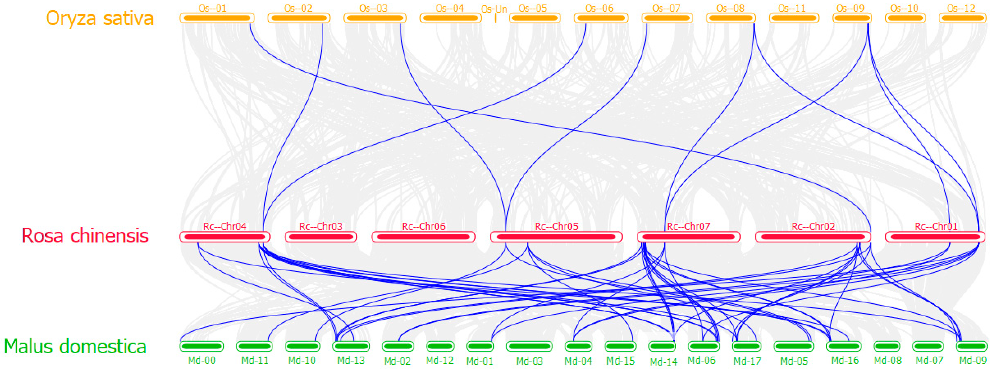 Horticulturae 08 00961 g005 Horticulturae 08 00961 g005
