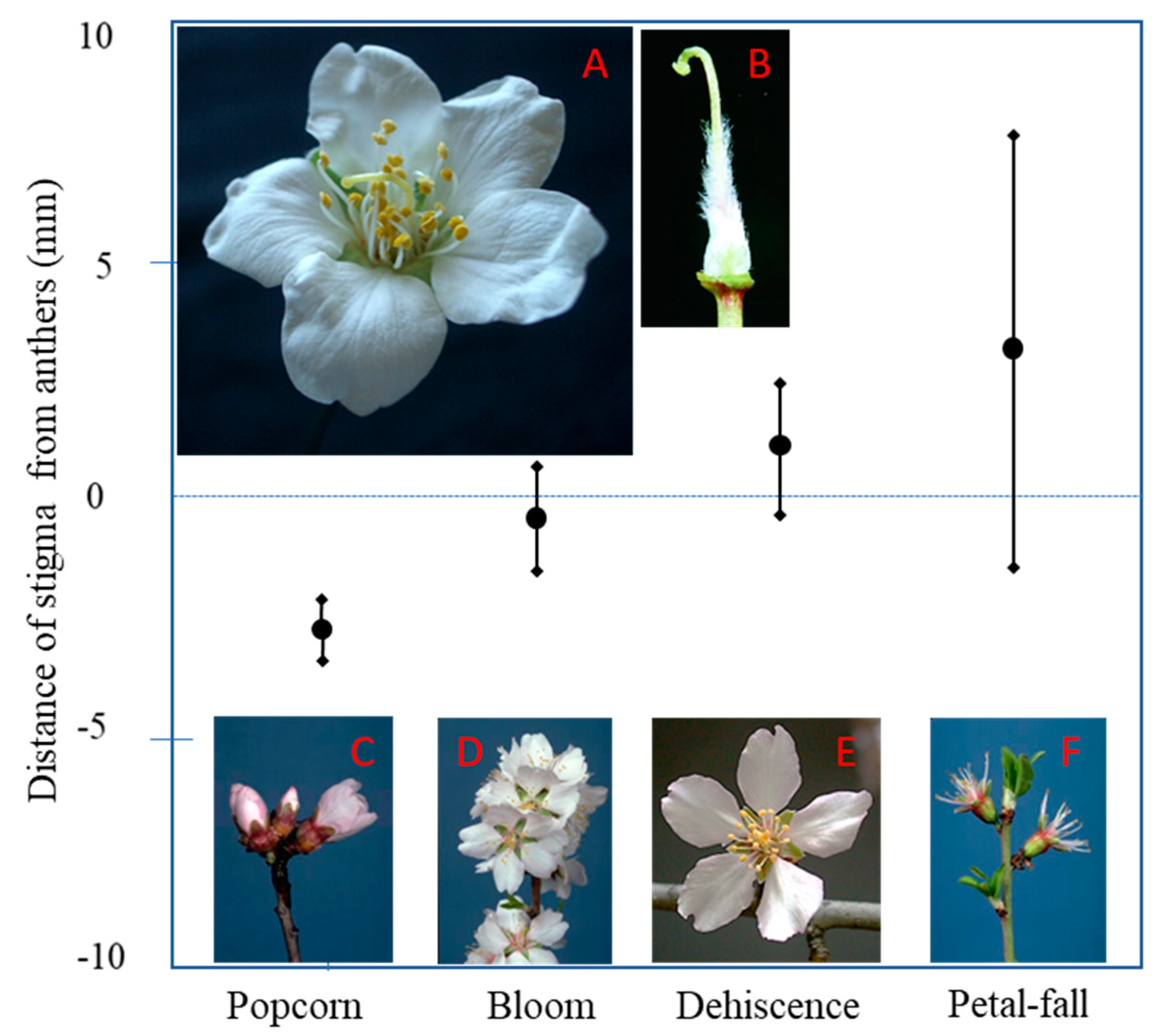 Horticulturae 08 00965 g002 Horticulturae 08 00965 g002