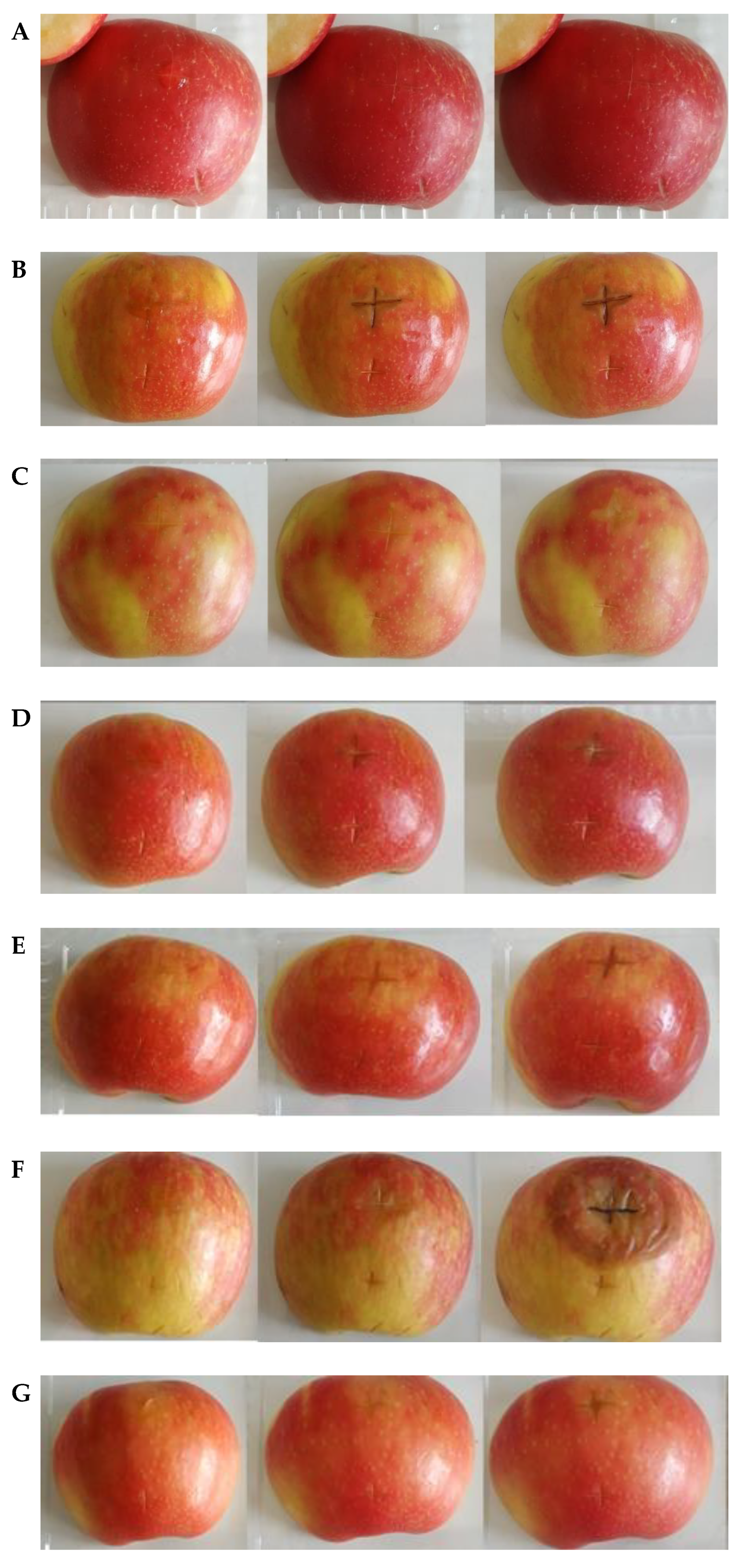 Horticulturae 08 00972 g002a