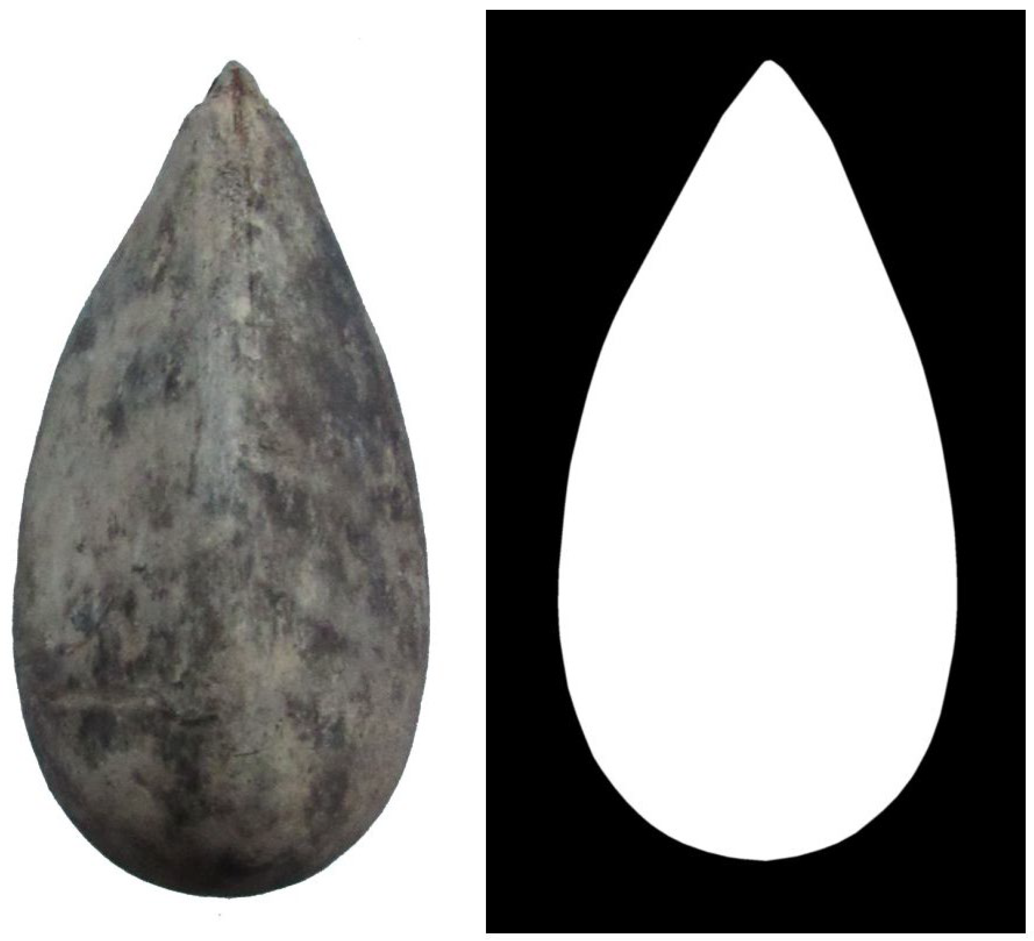 Horticulturae 08 00974 g001