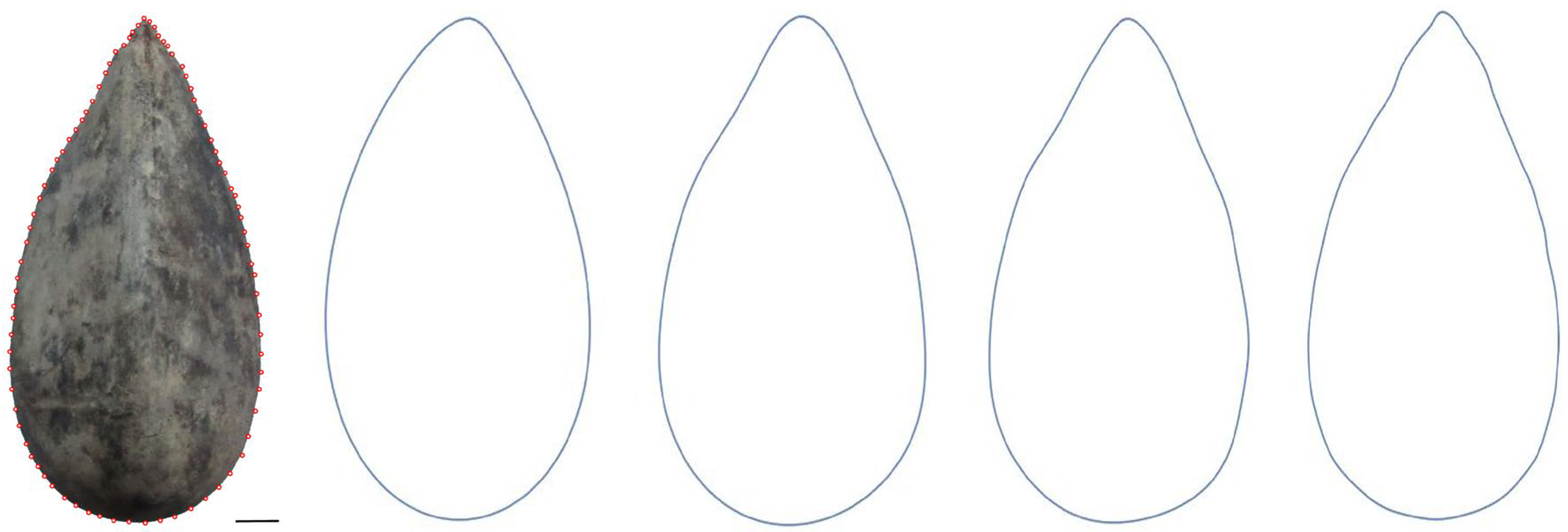 Horticulturae 08 00974 g002