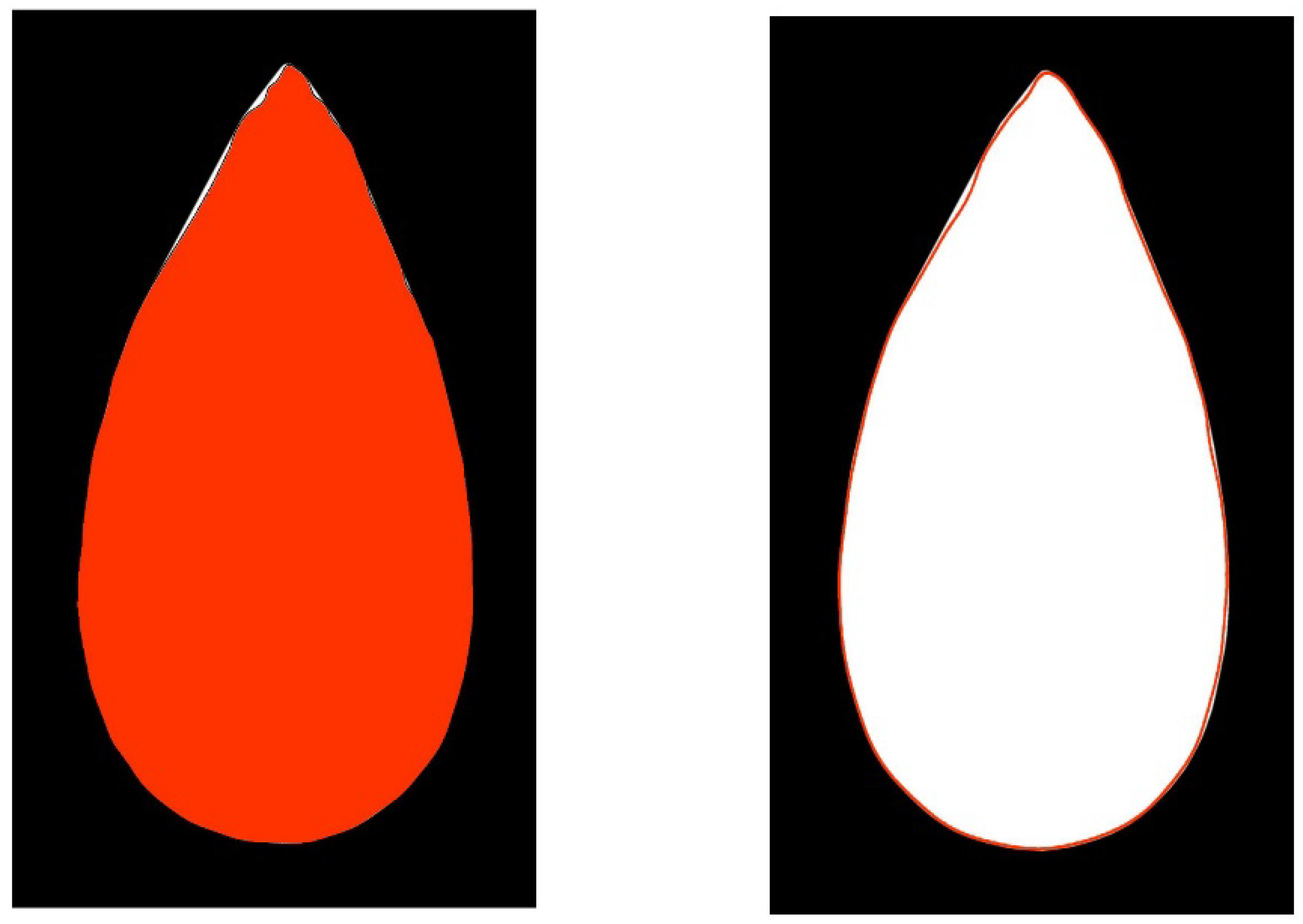 Horticulturae 08 00974 g003