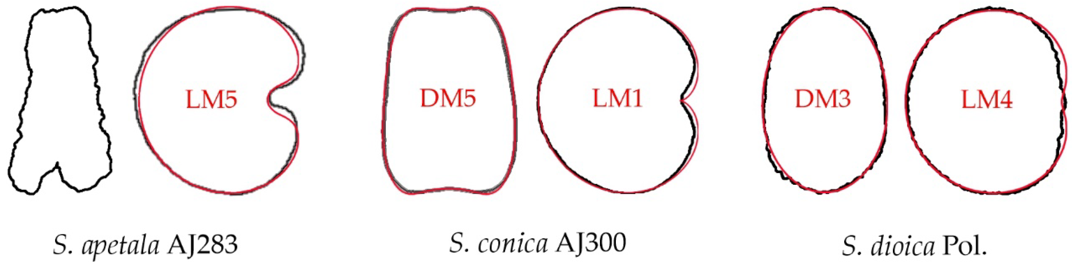 Horticulturae 08 00974 g008