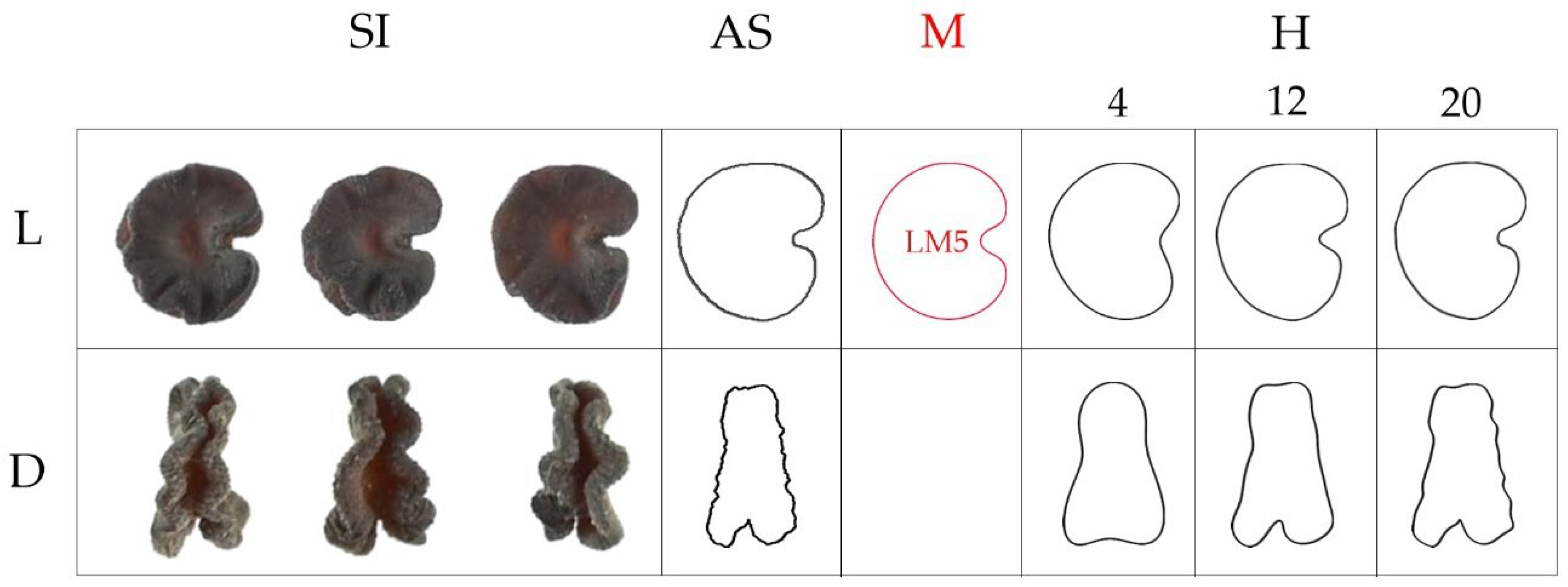 Horticulturae 08 00974 g009