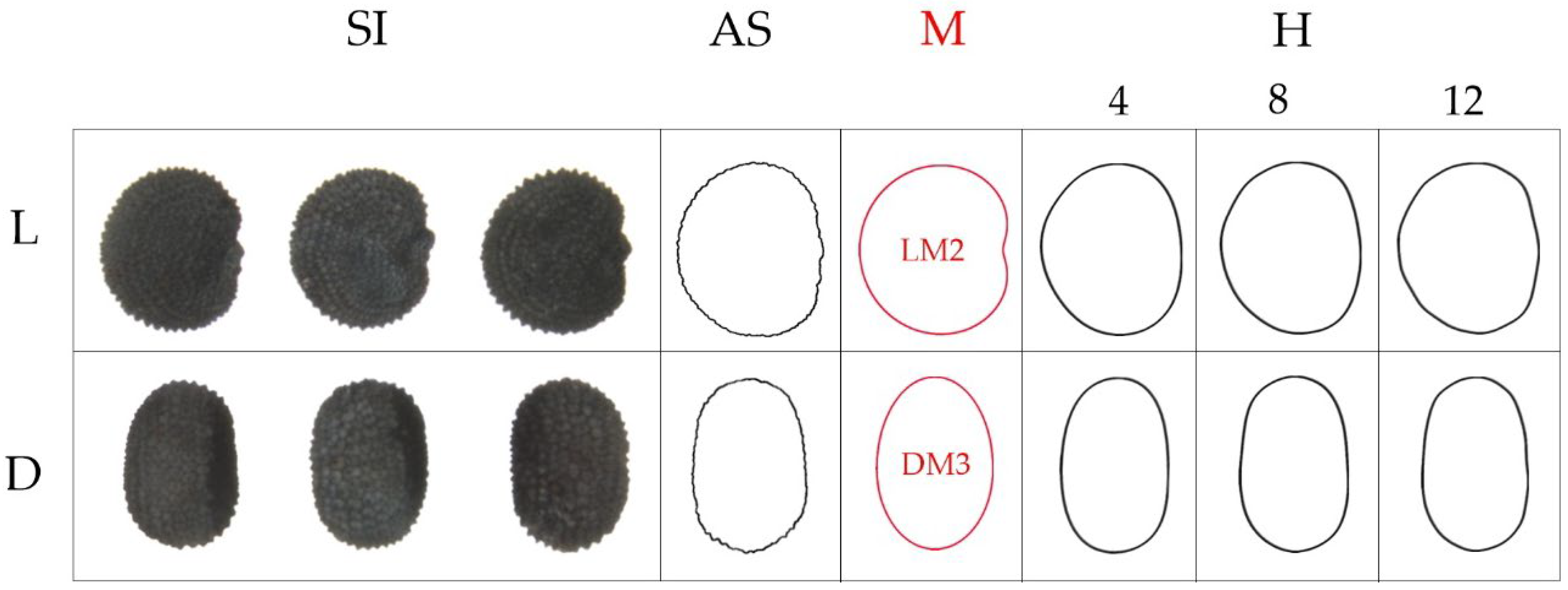 Horticulturae 08 00974 g011