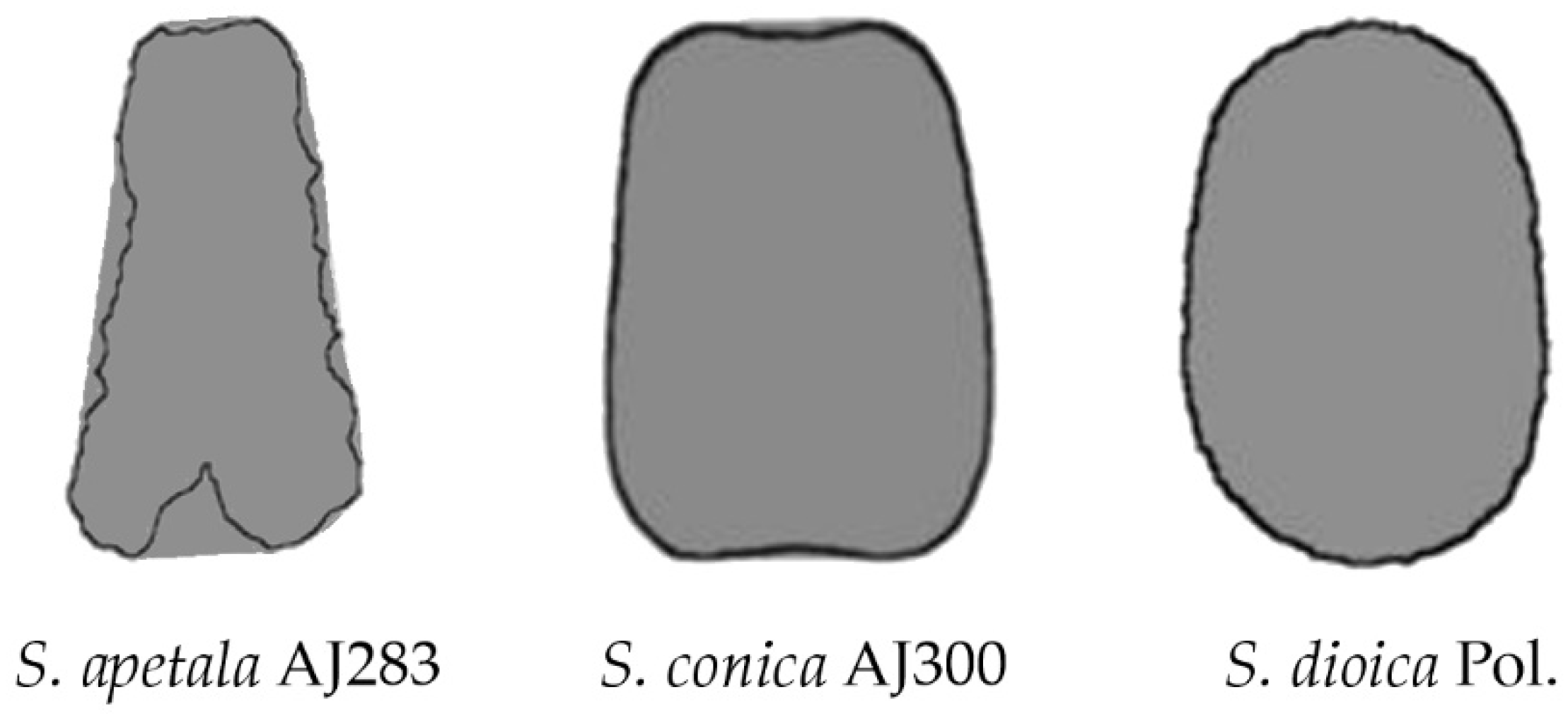 Horticulturae 08 00974 g012