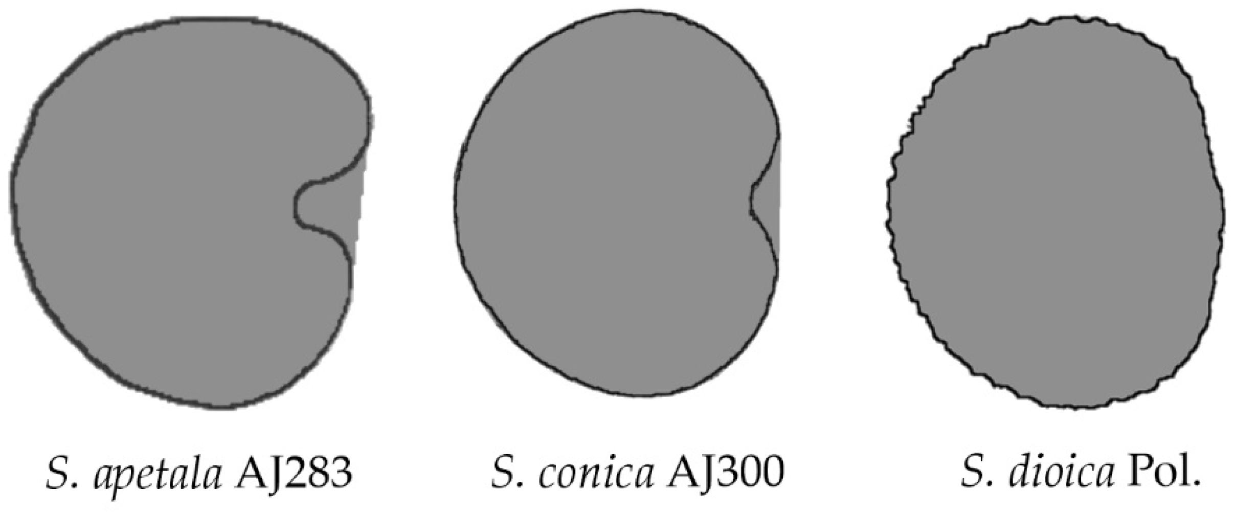 Horticulturae 08 00974 g013