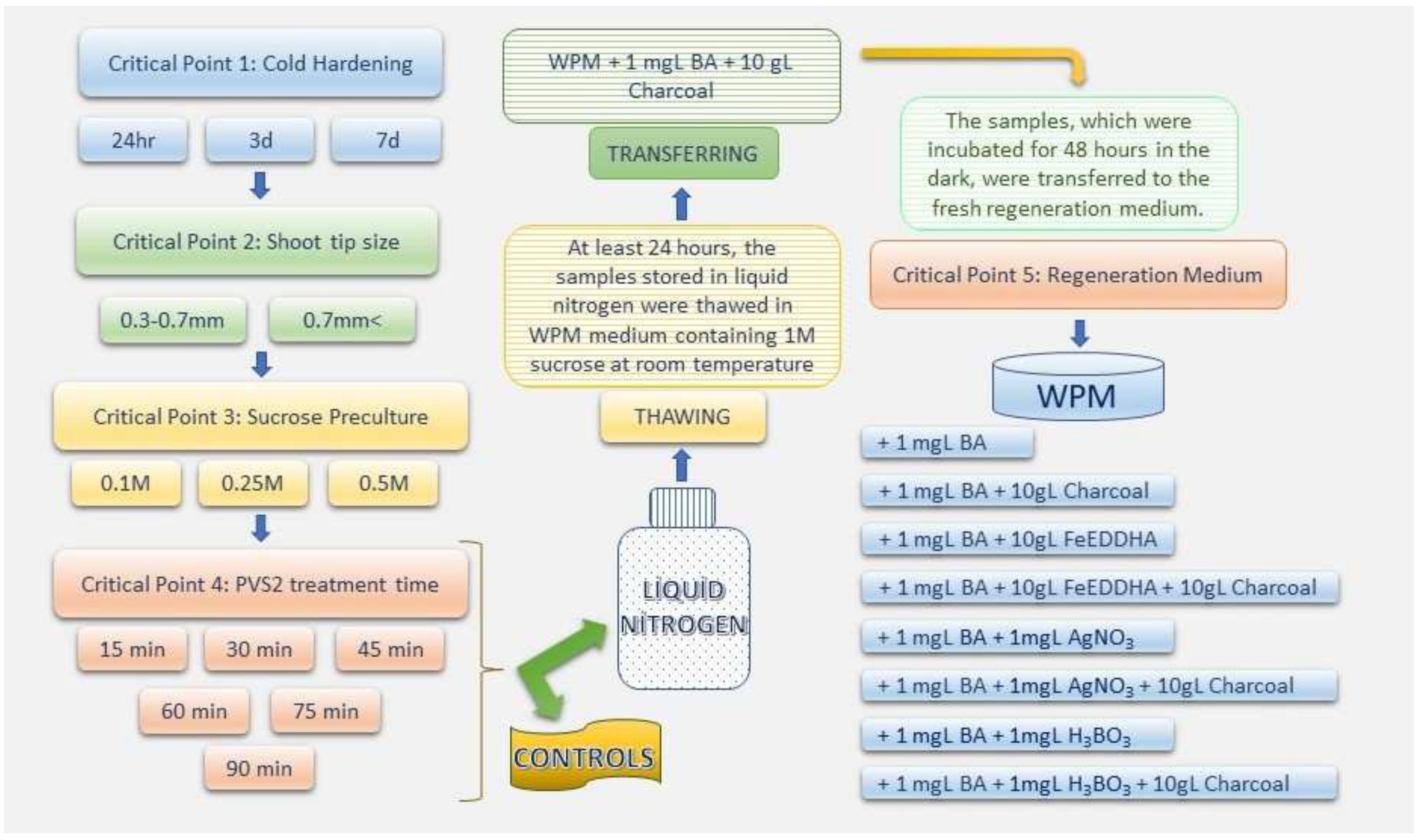 Horticulturae 08 00995 g002