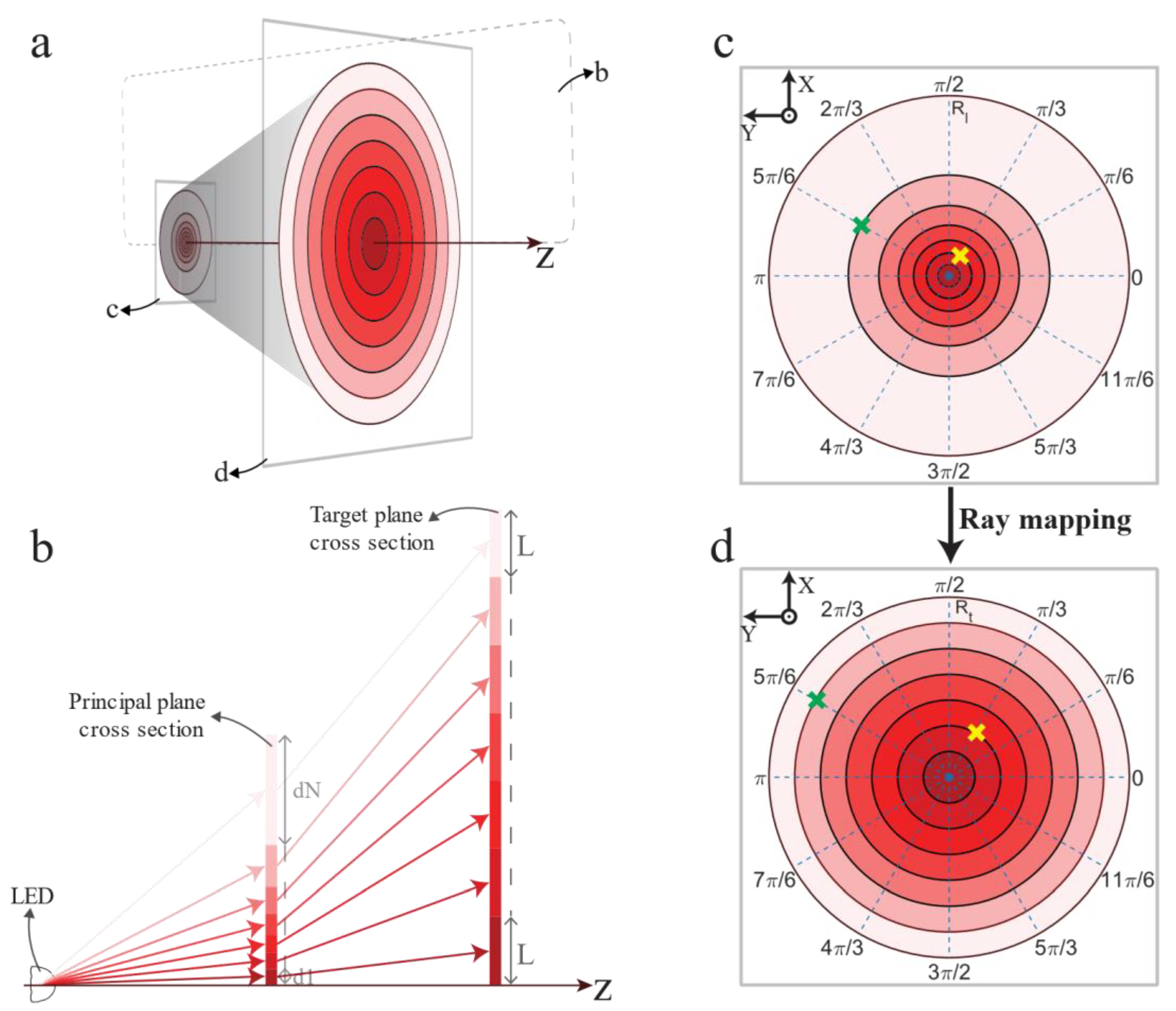 Horticulturae 08 01019 g001