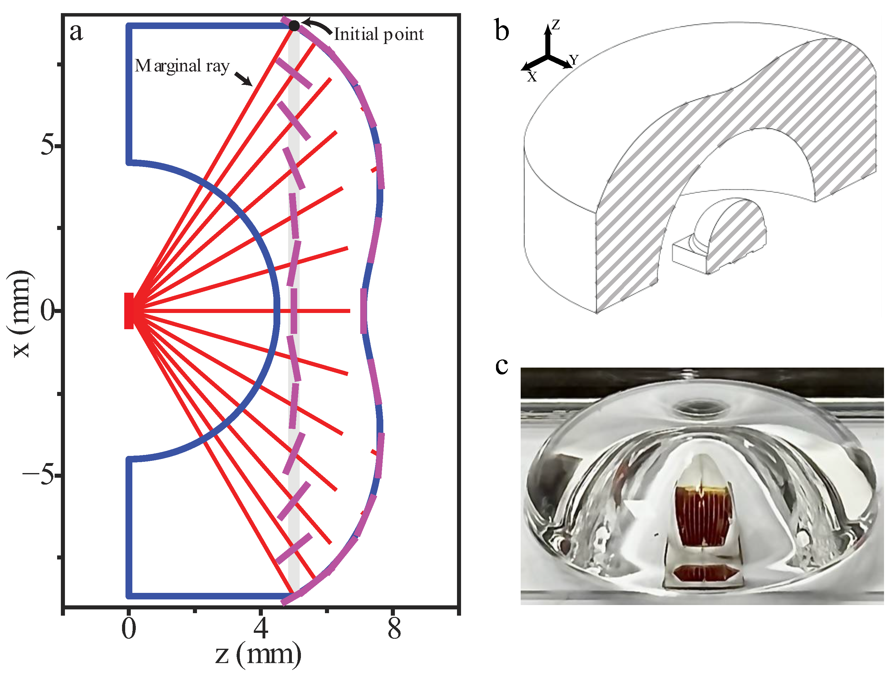Horticulturae 08 01019 g003