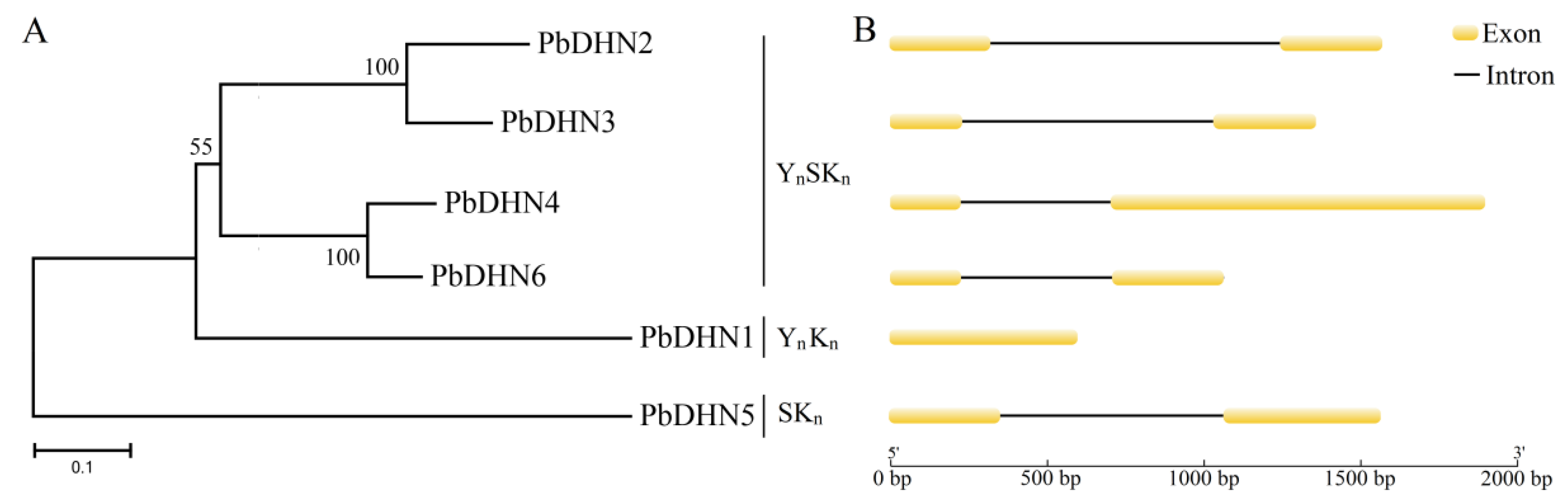 Horticulturae 08 01022 g002