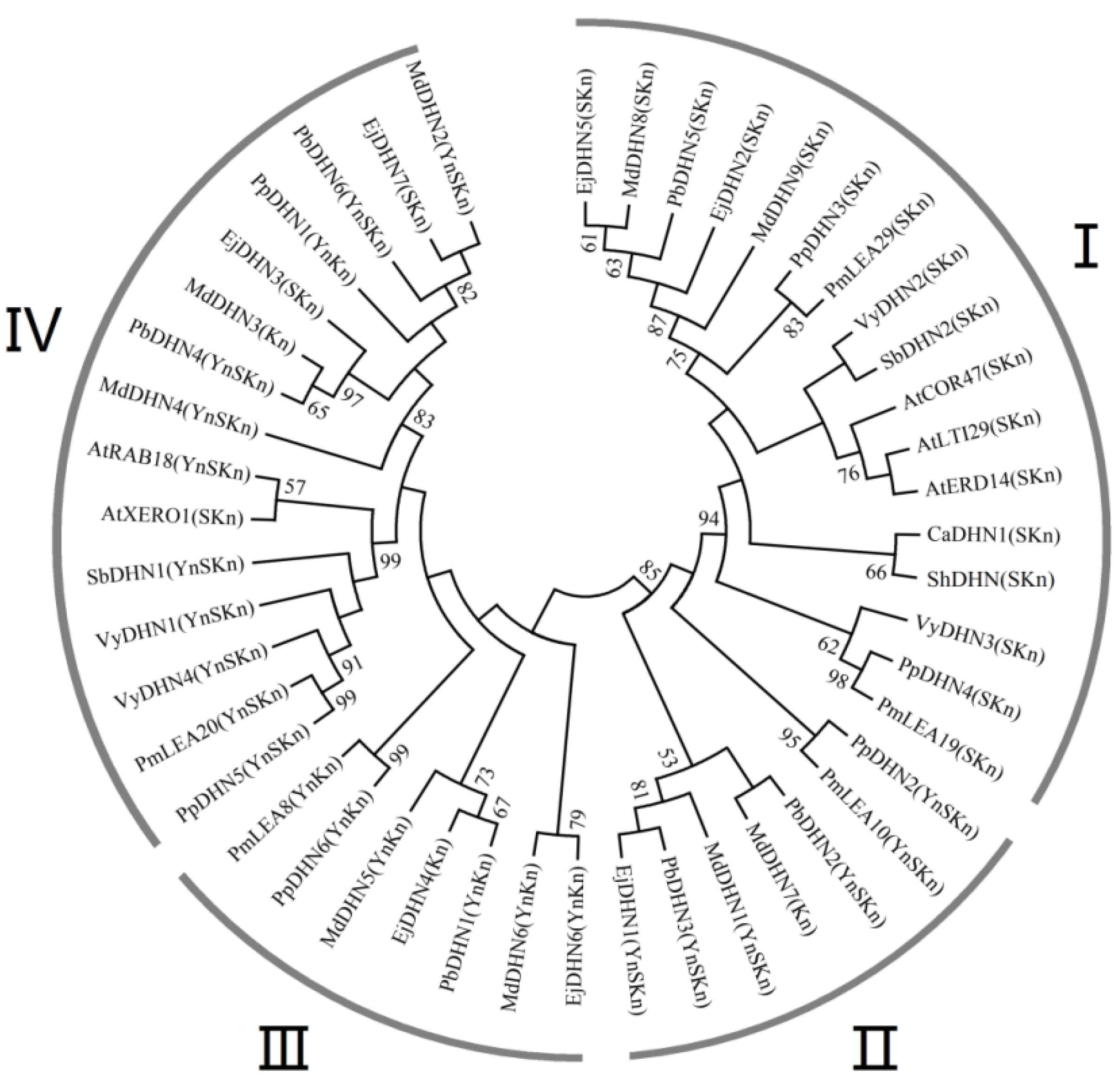 Horticulturae 08 01022 g003