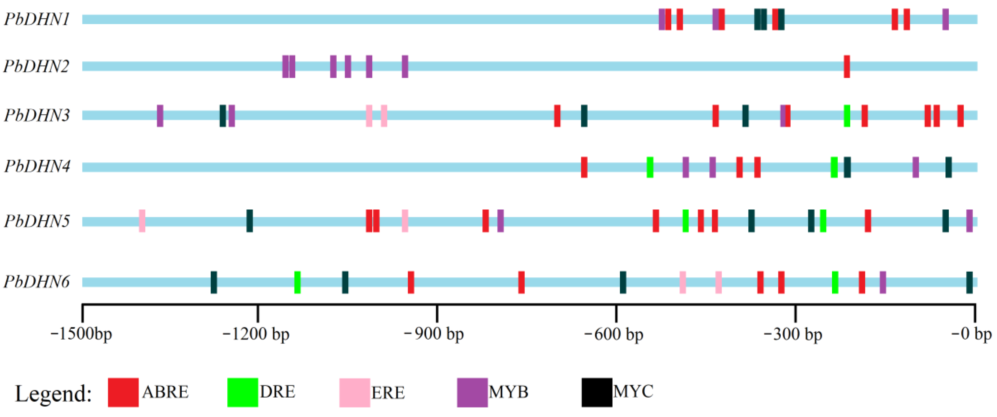 Horticulturae 08 01022 g004