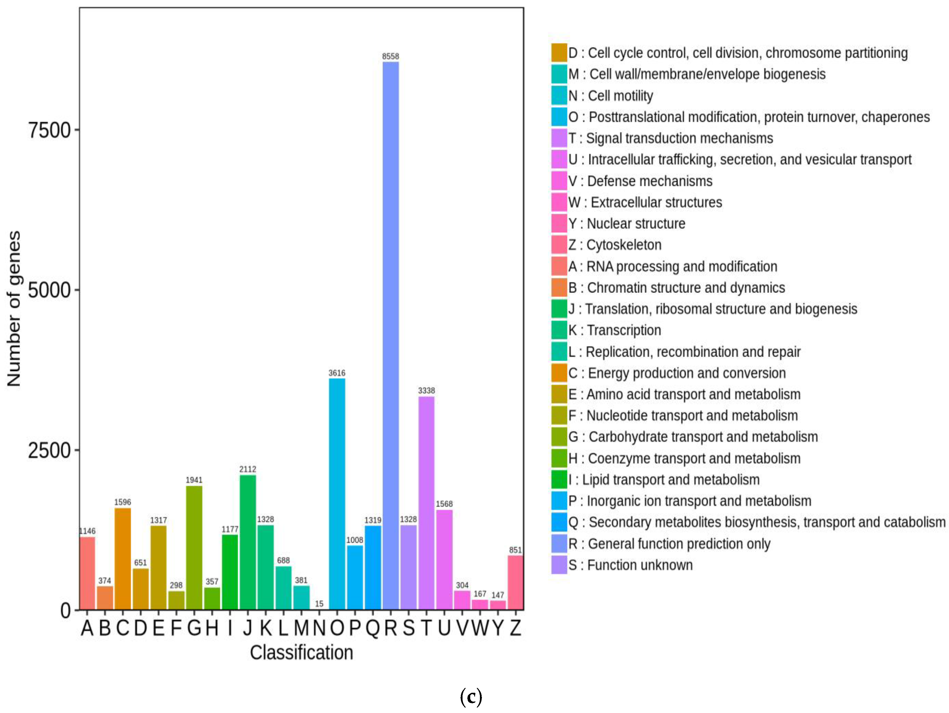 Horticulturae 08 01044 g003b