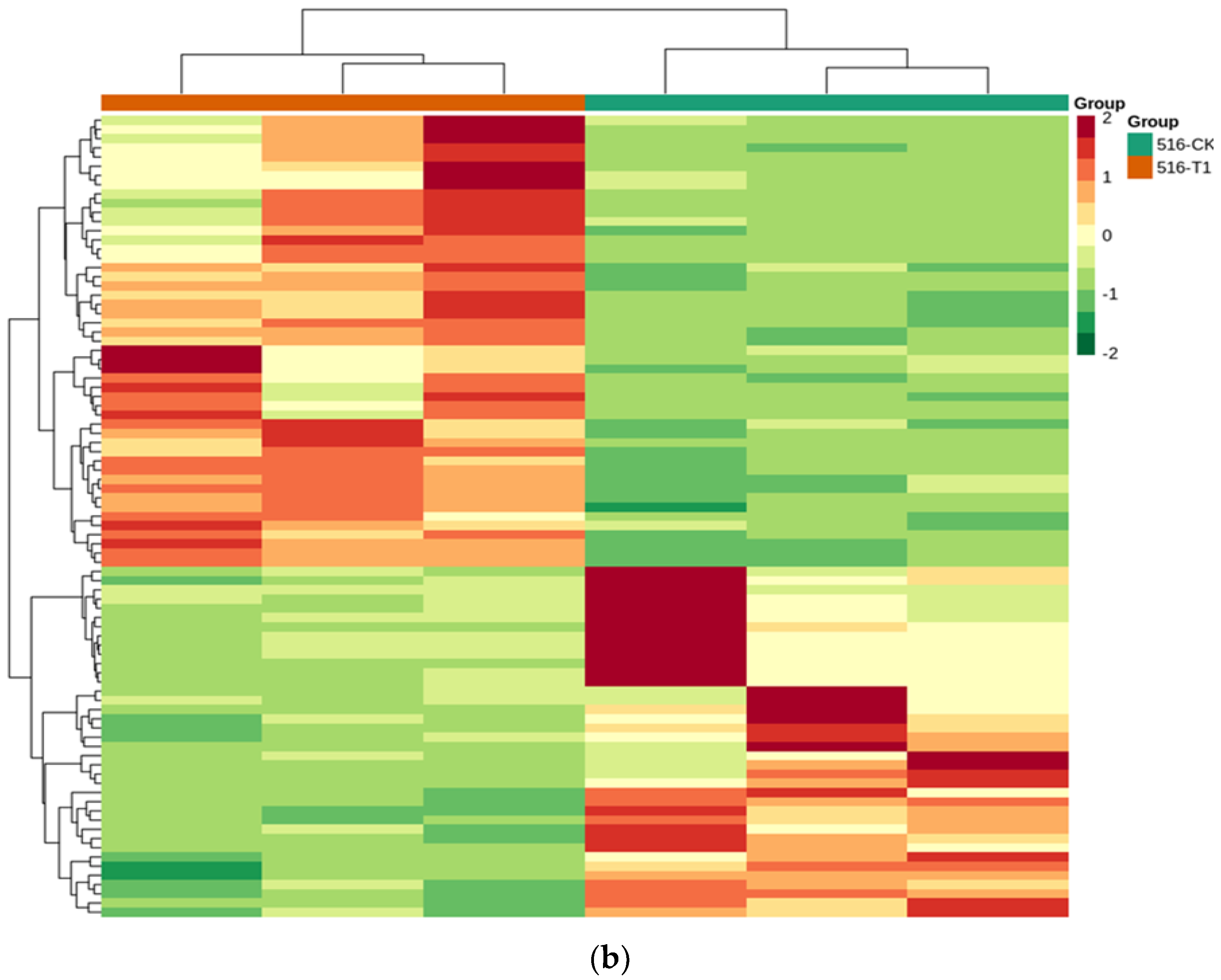 Horticulturae 08 01044 g006b