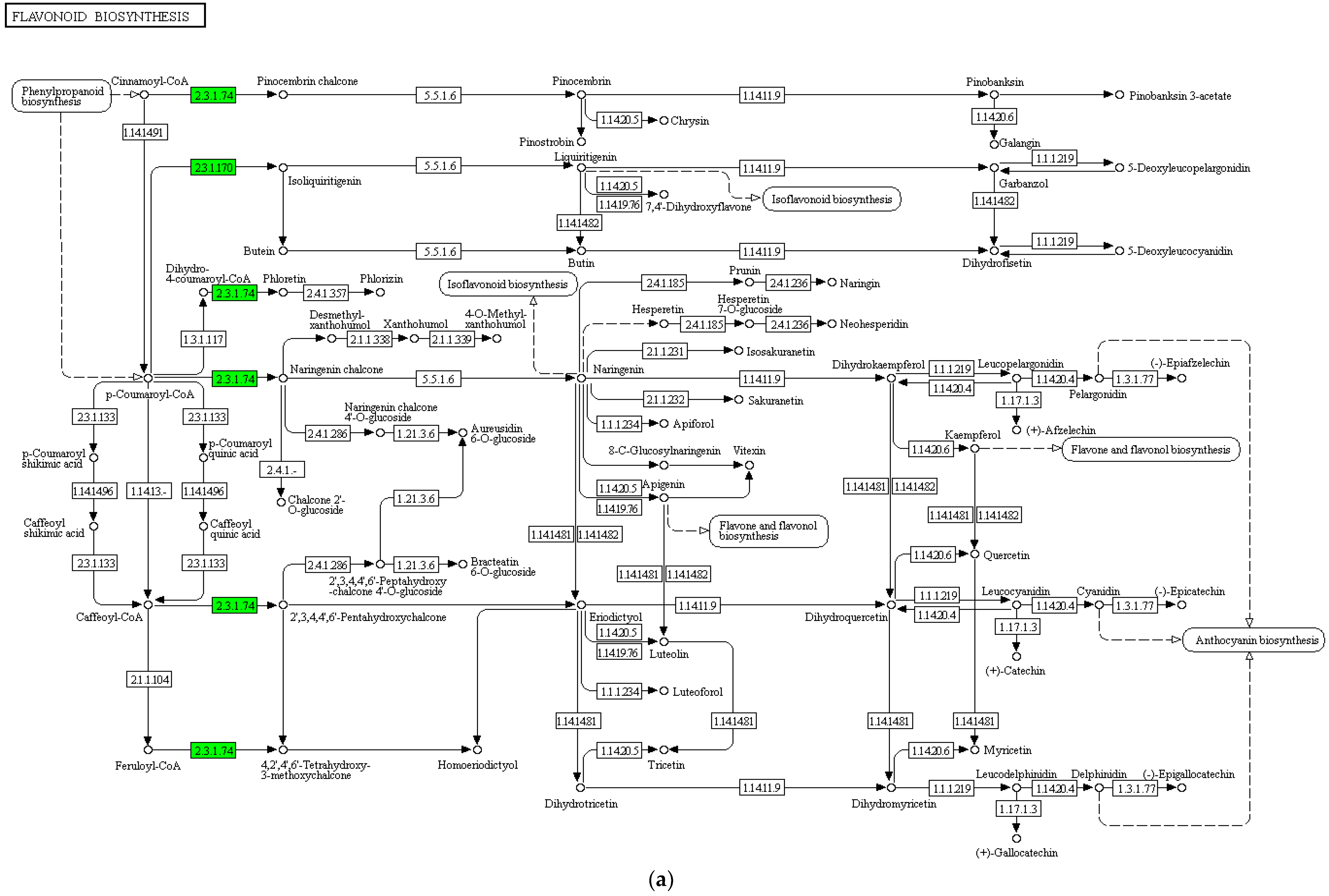 Horticulturae 08 01044 g007a