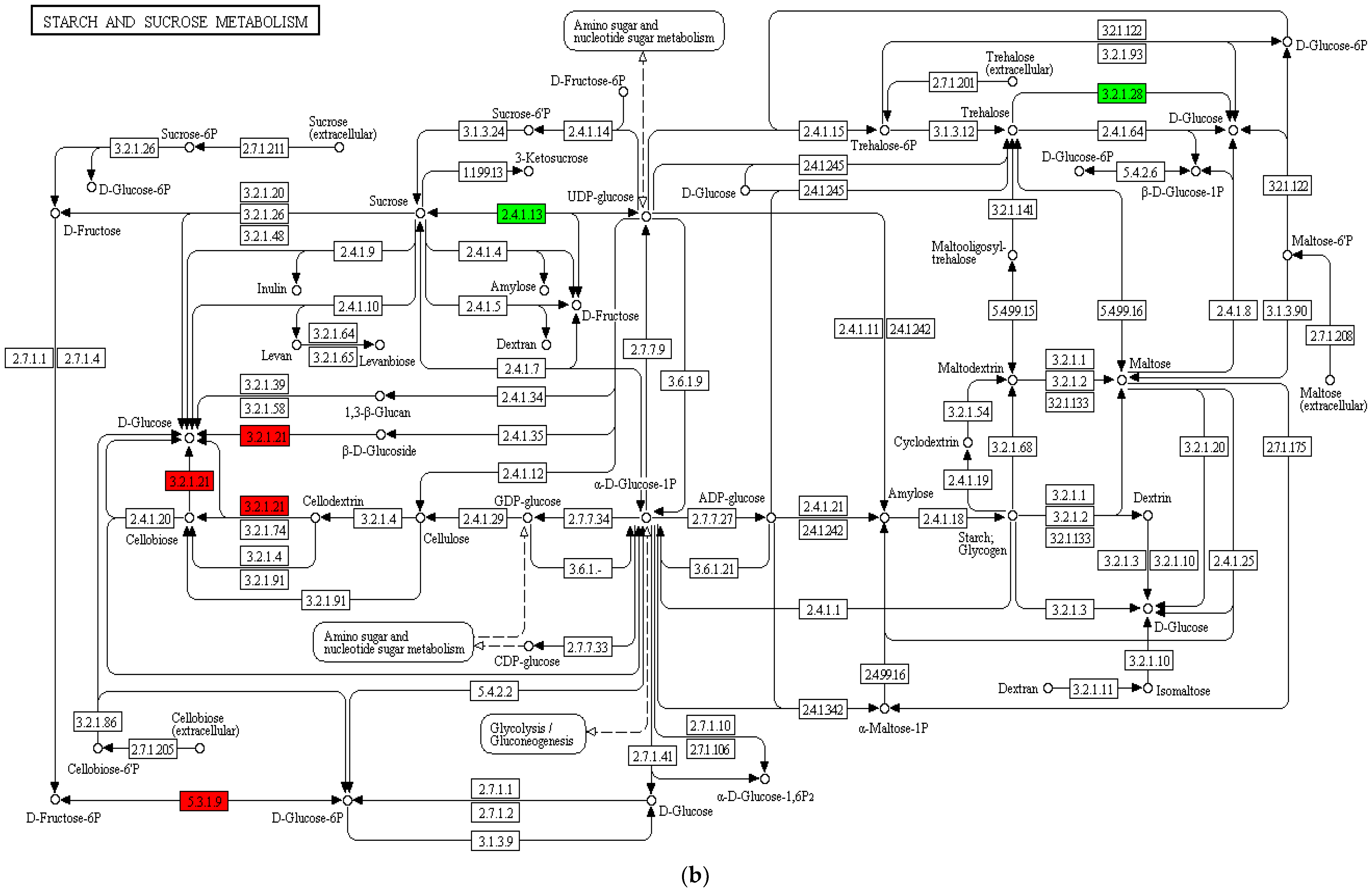 Horticulturae 08 01044 g007b
