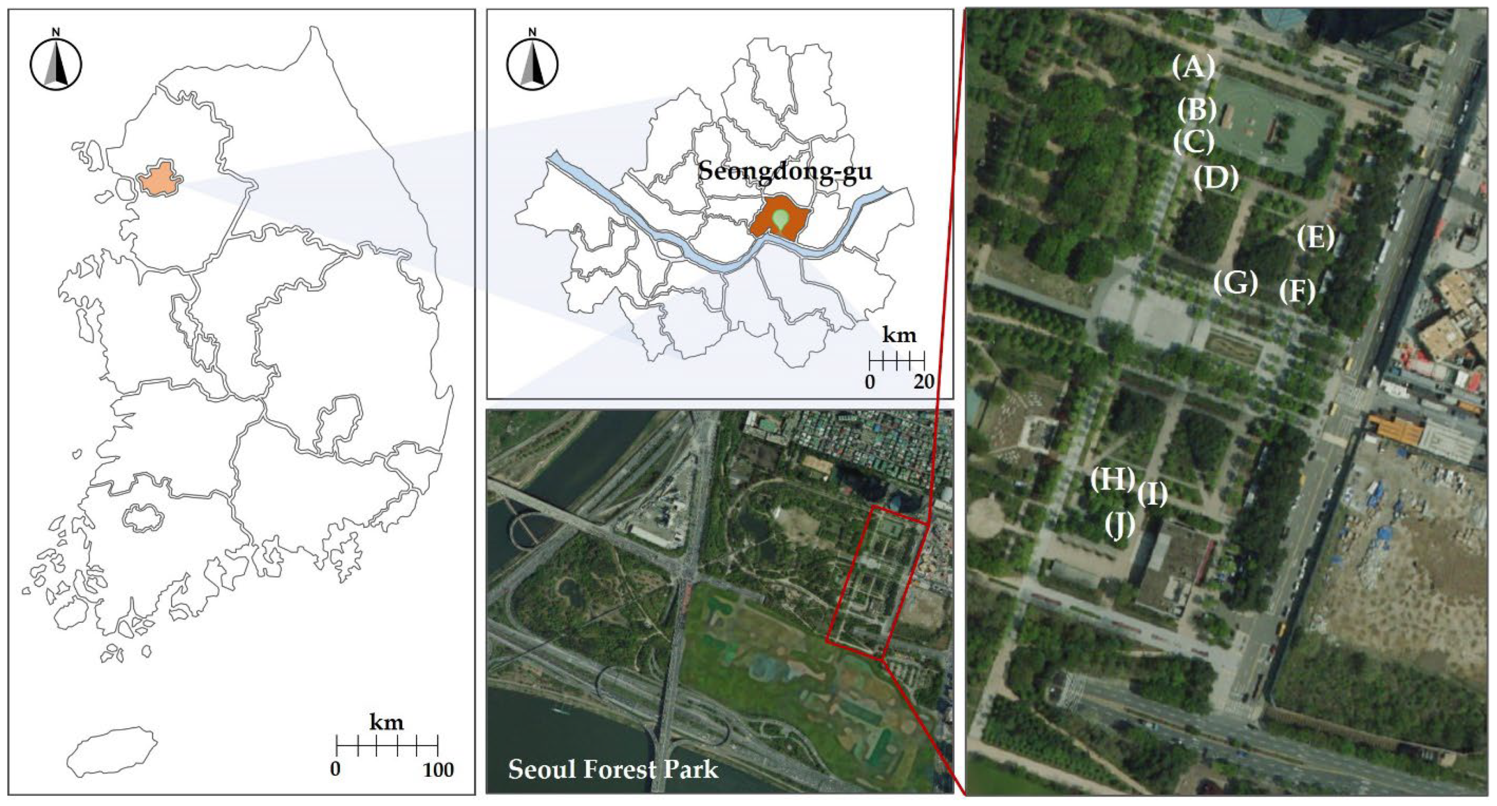 Horticulturae 08 01046 g001 Horticulturae 08 01046 g001