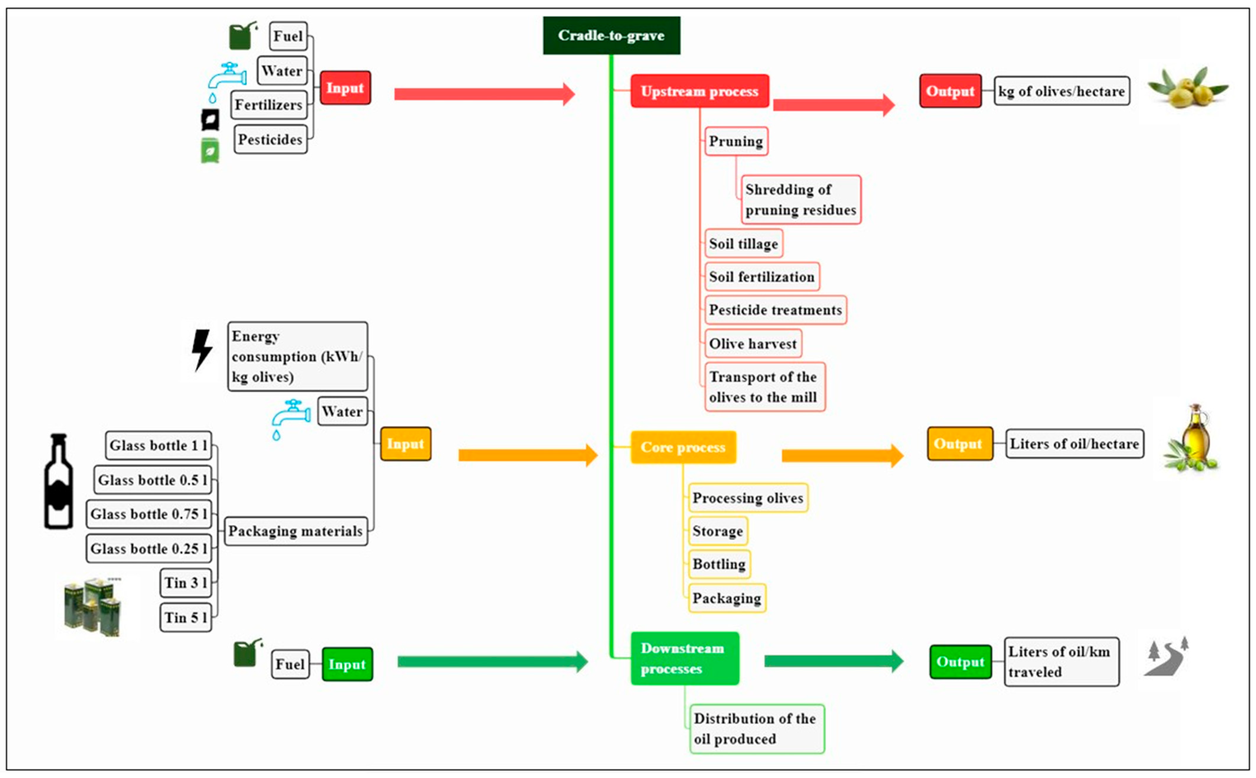 Horticulturae 08 01054 g001 Horticulturae 08 01054 g001