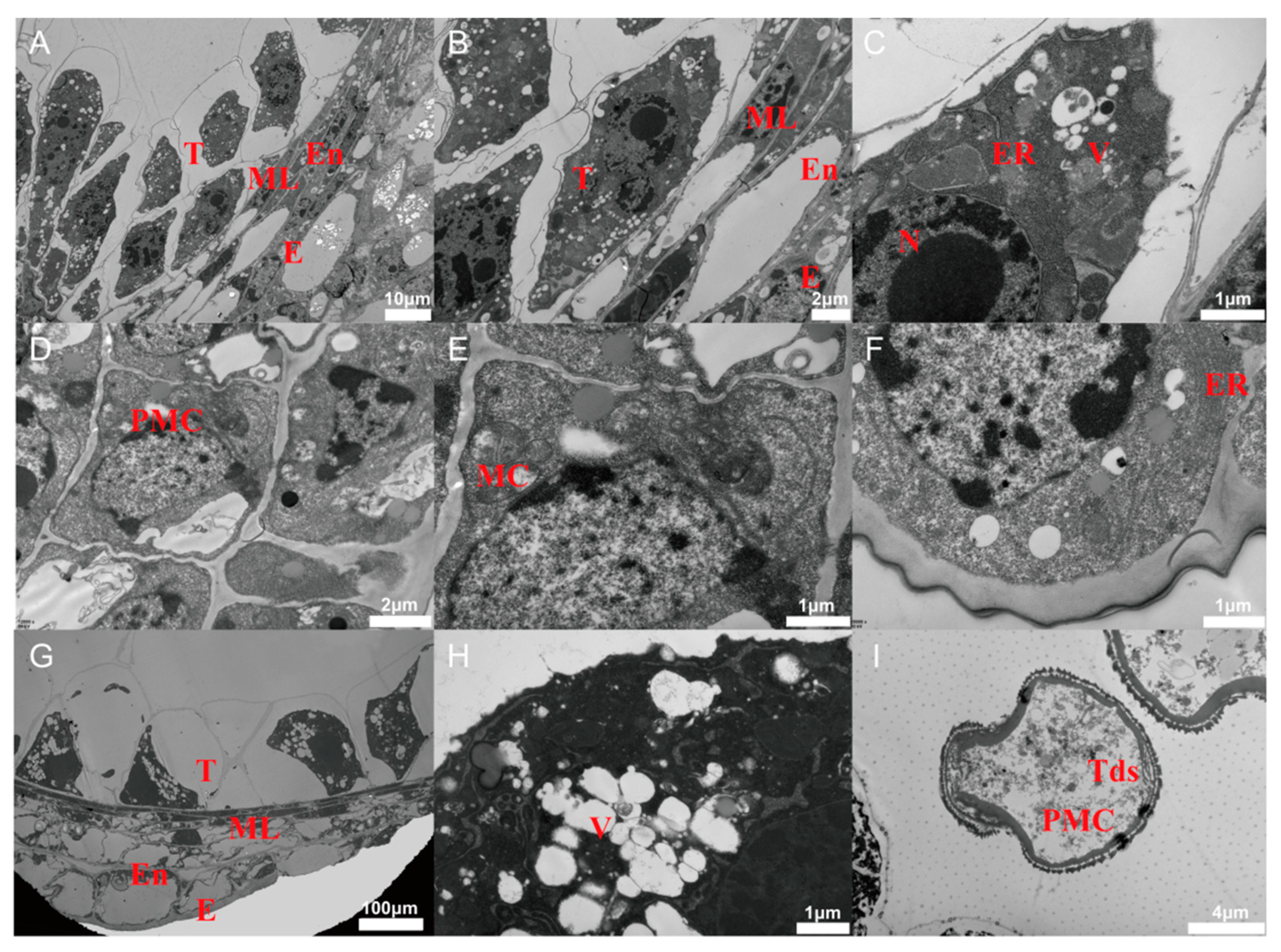 Horticulturae 08 01056 g002 Horticulturae 08 01056 g002