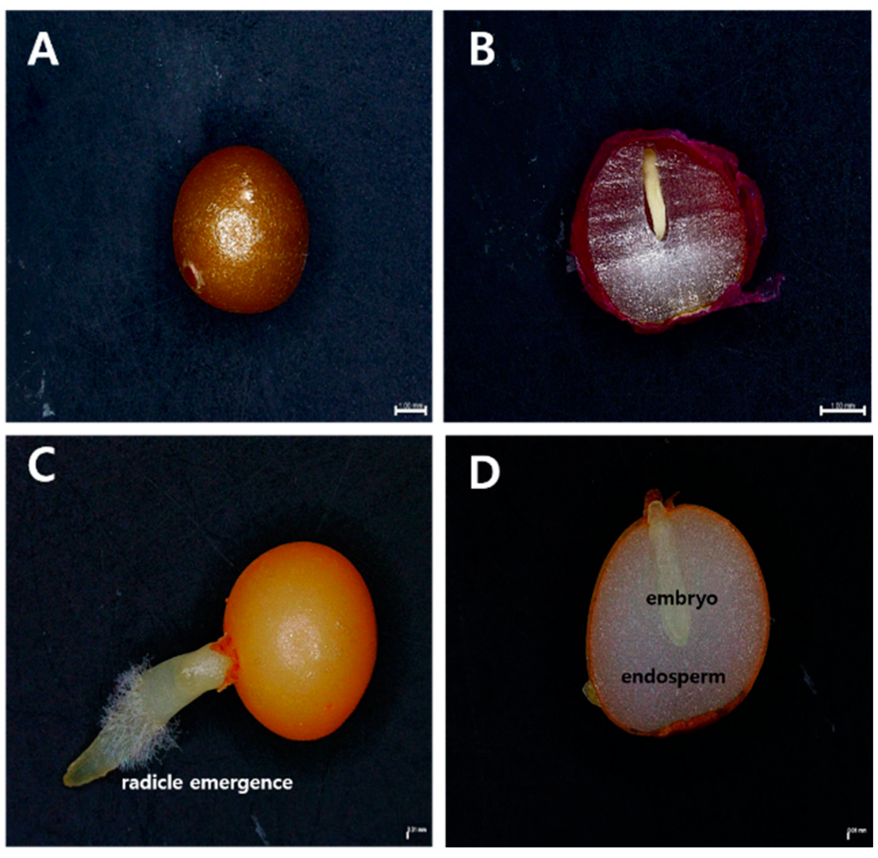 Horticulturae 08 01057 g002 Horticulturae 08 01057 g002