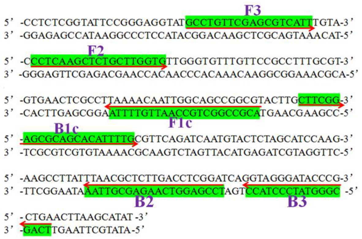 Horticulturae 08 01060 g001