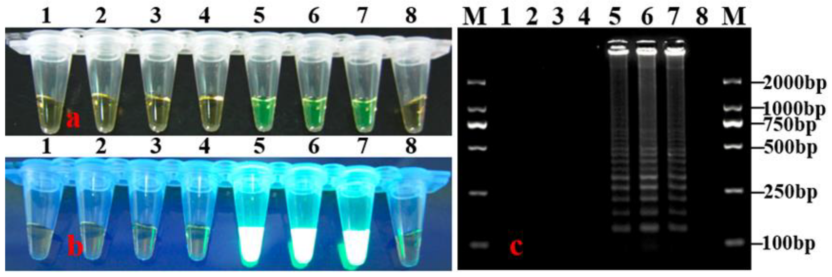 Horticulturae 08 01060 g002