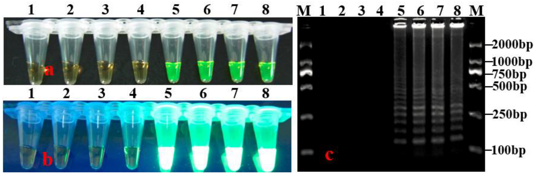 Horticulturae 08 01060 g003