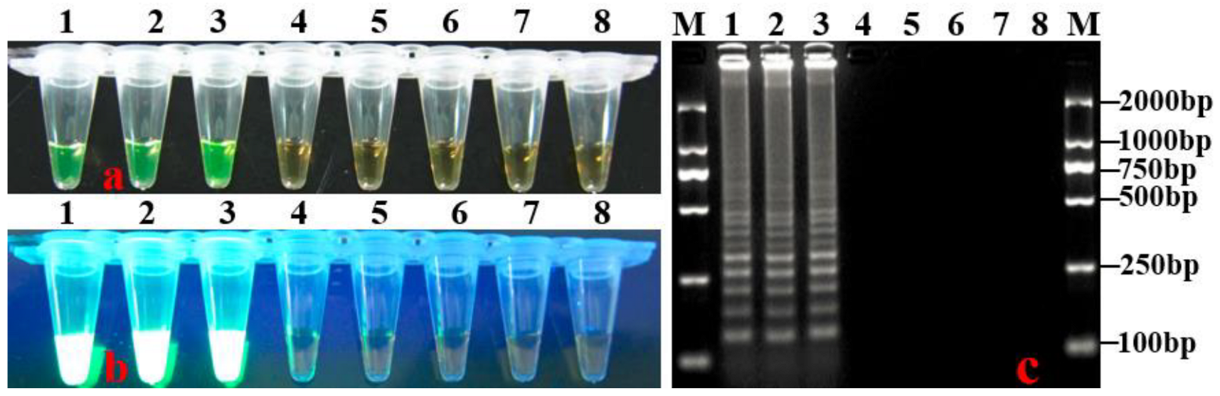 Horticulturae 08 01060 g004