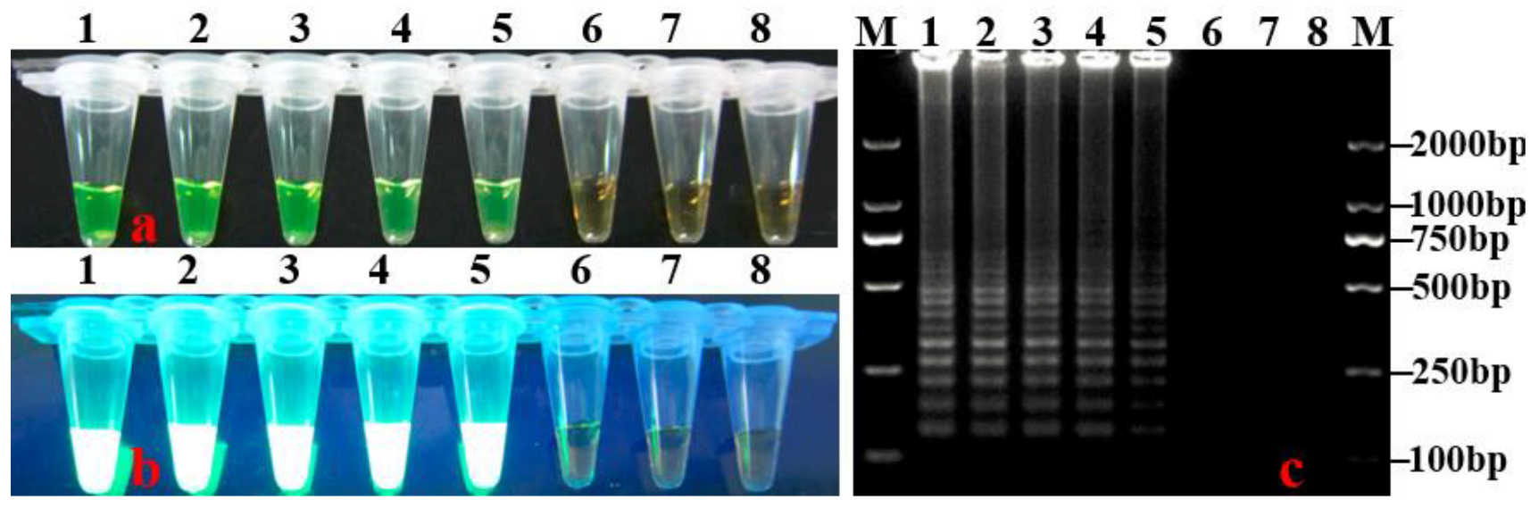 Horticulturae 08 01060 g005