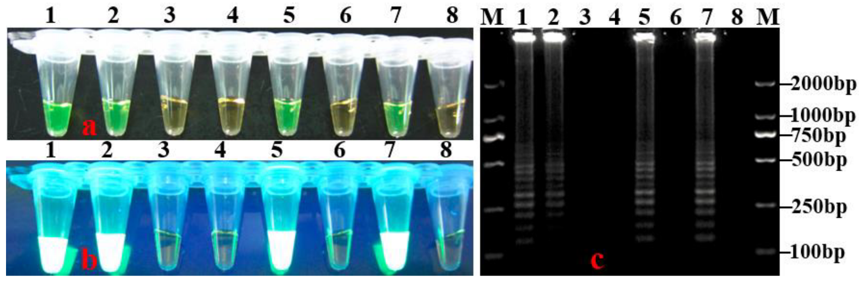 Horticulturae 08 01060 g006