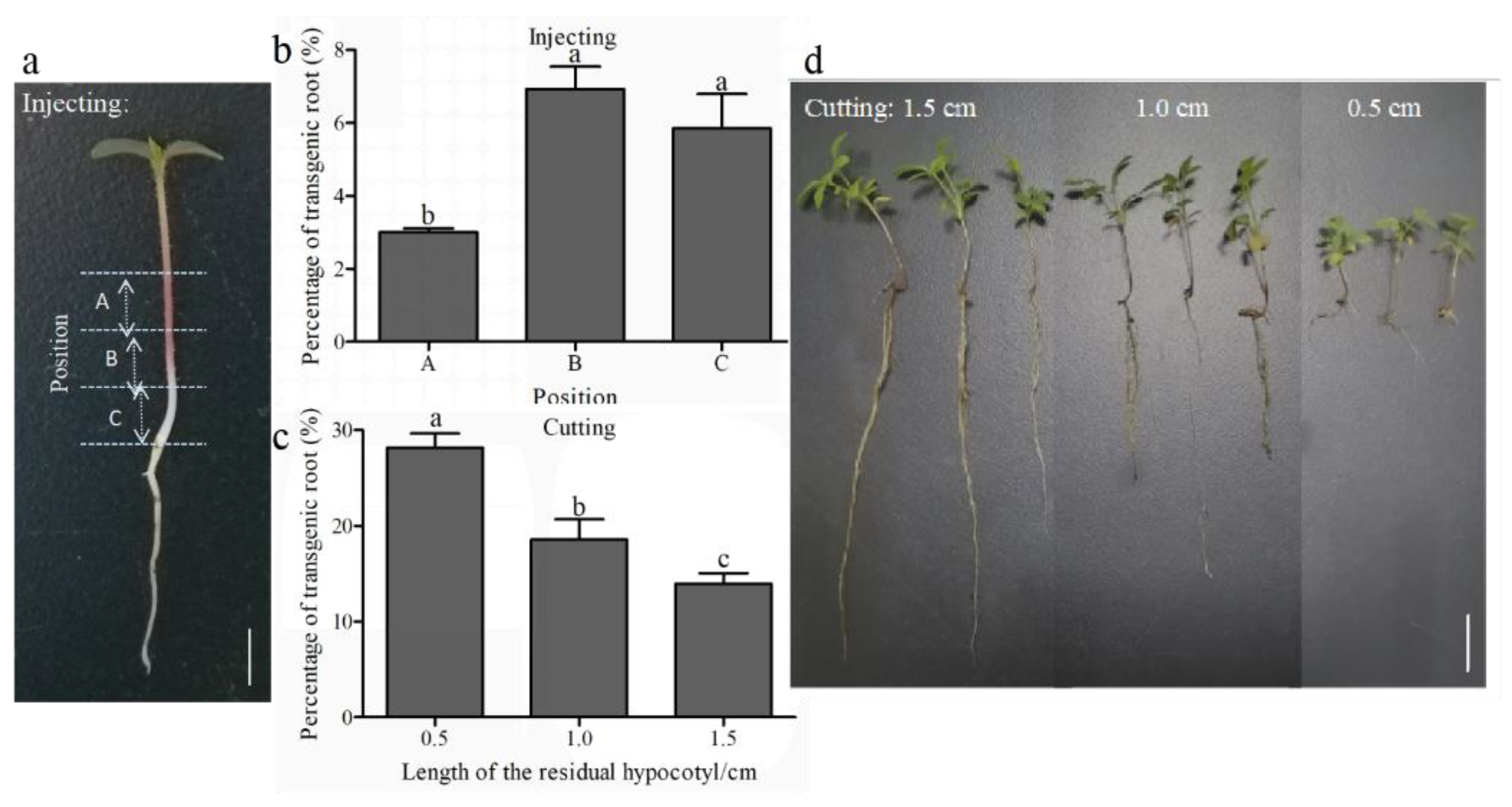 Horticulturae 08 01079 g005