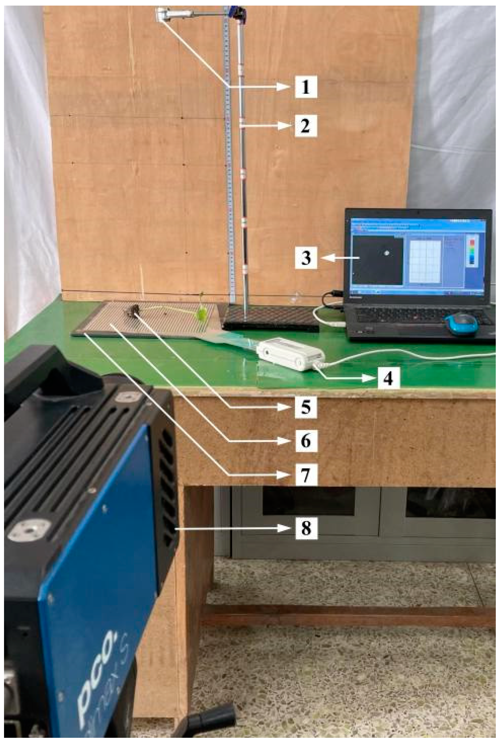 Horticulturae 08 01080 g002