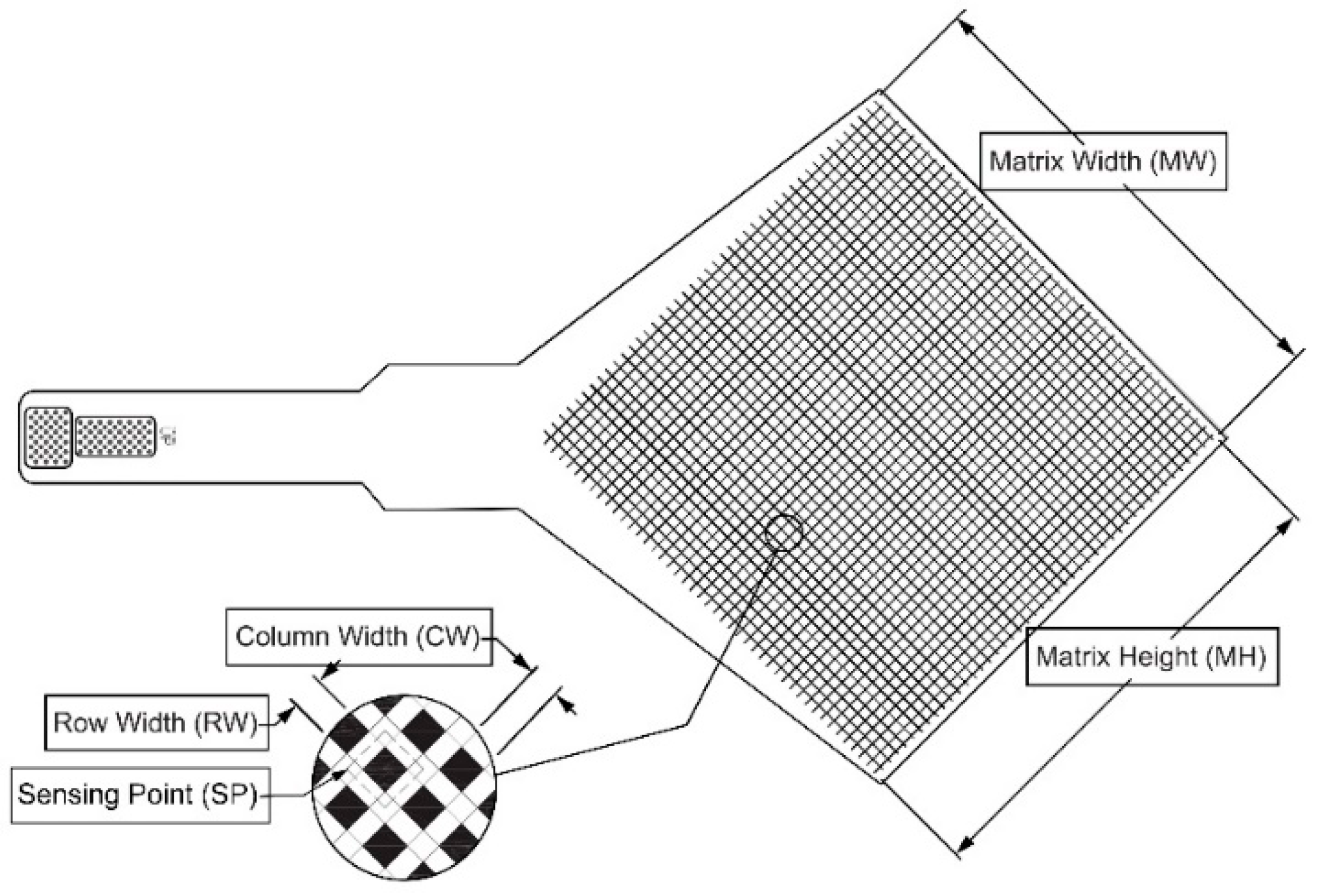 Horticulturae 08 01080 g003