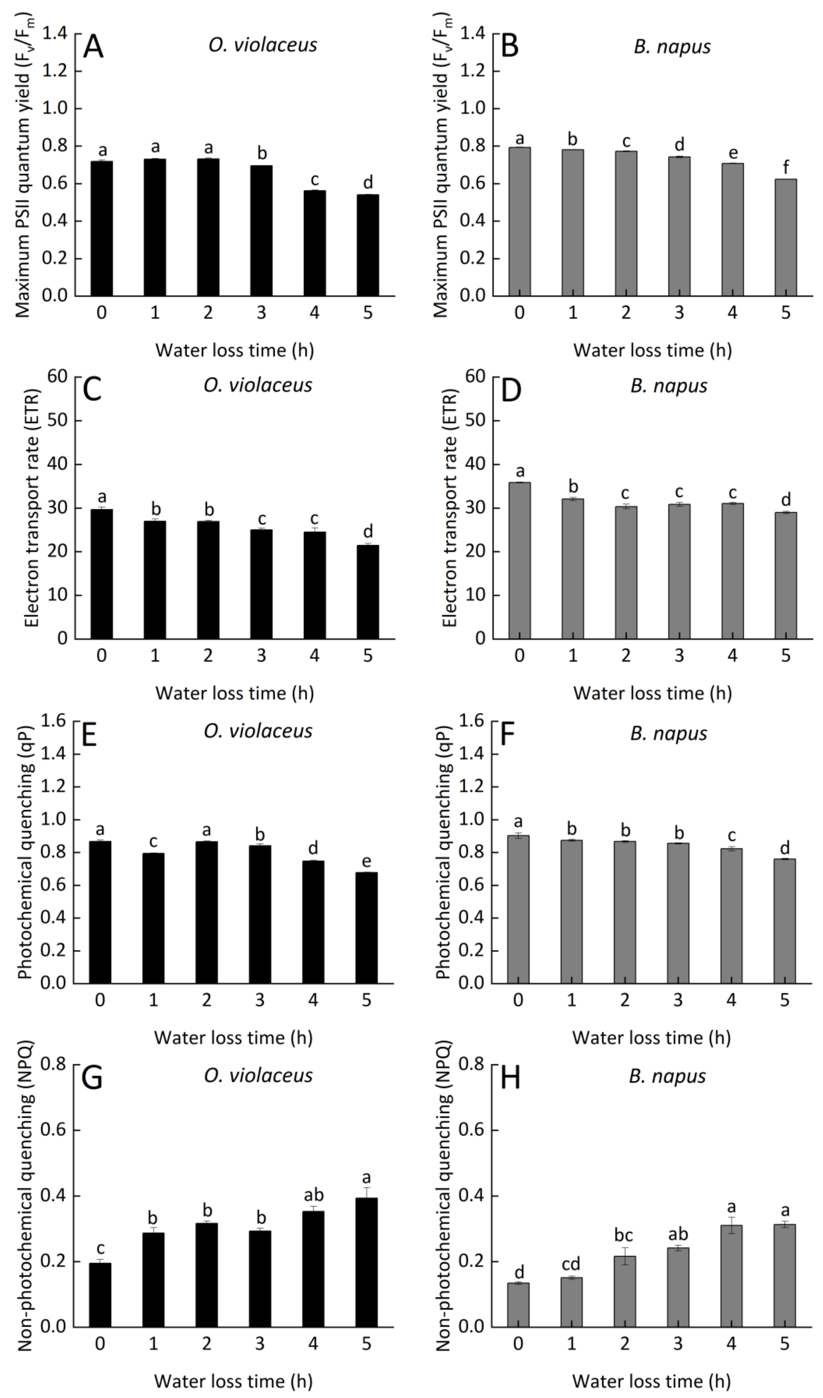 Horticulturae 08 01082 g003 Horticulturae 08 01082 g003