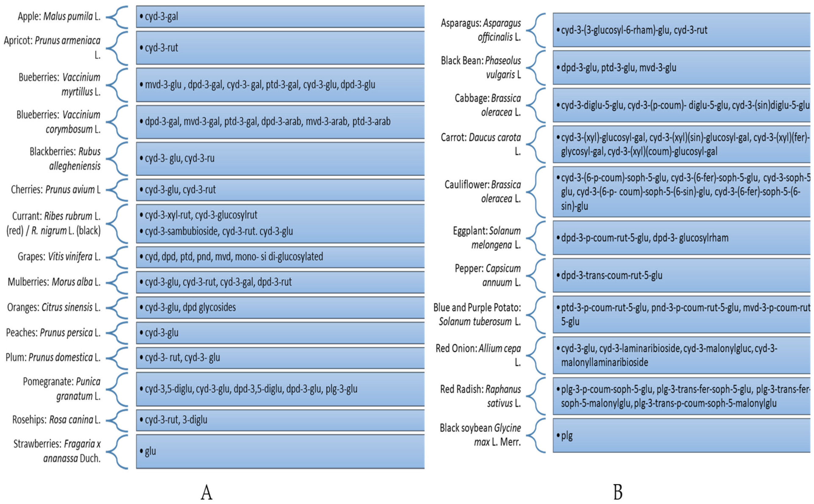 Horticulturae 08 01084 g002 Horticulturae 08 01084 g002