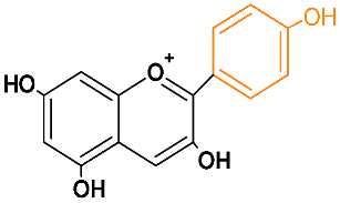 Horticulturae 08 01084 i005 Horticulturae 08 01084 i005
