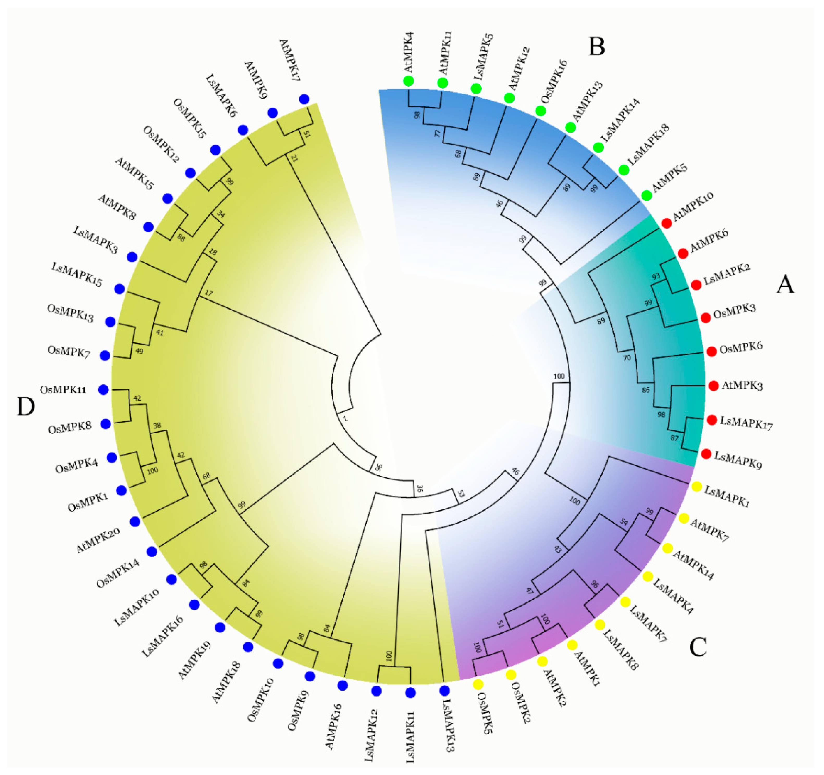 Horticulturae 08 01087 g001
