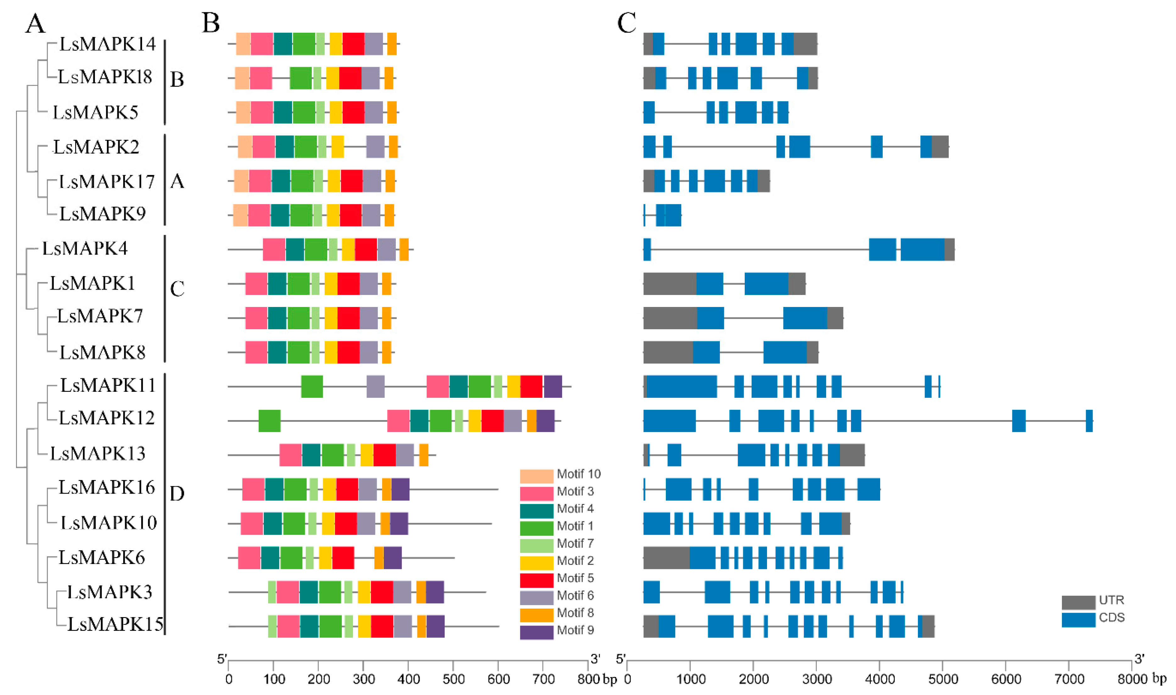 Horticulturae 08 01087 g002