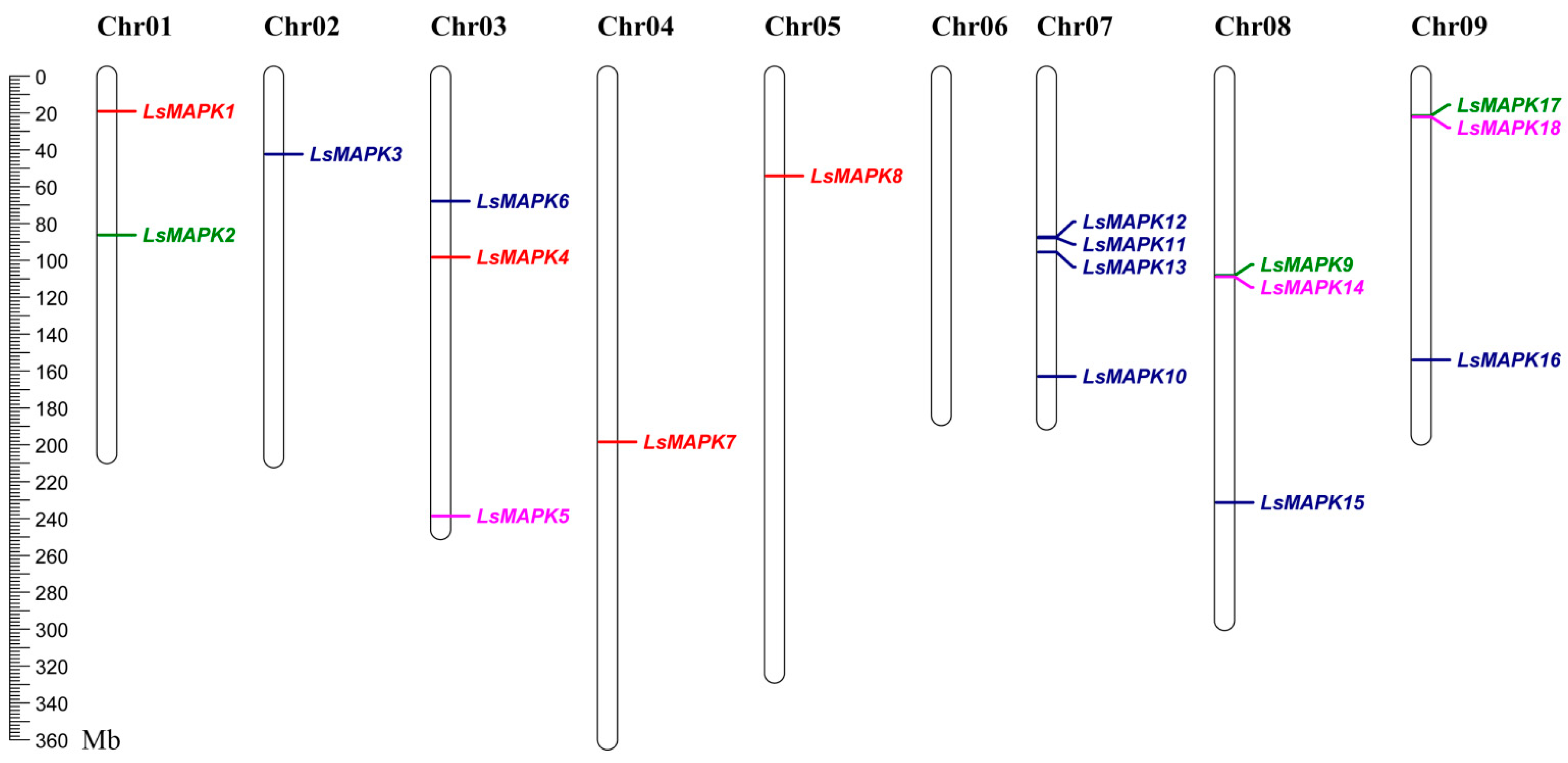 Horticulturae 08 01087 g004