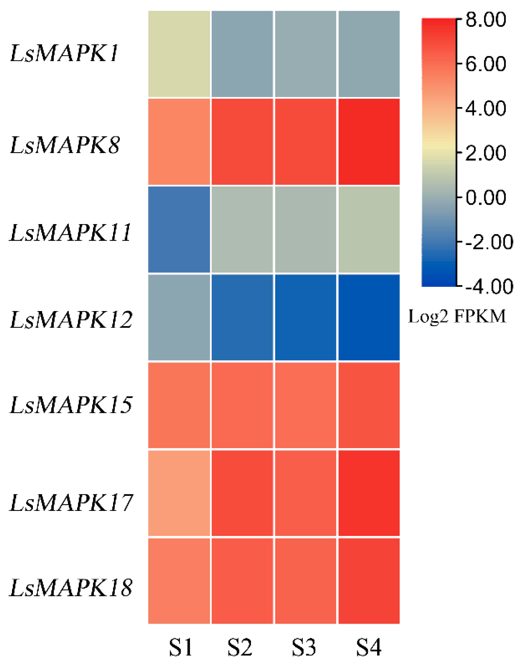 Horticulturae 08 01087 g008