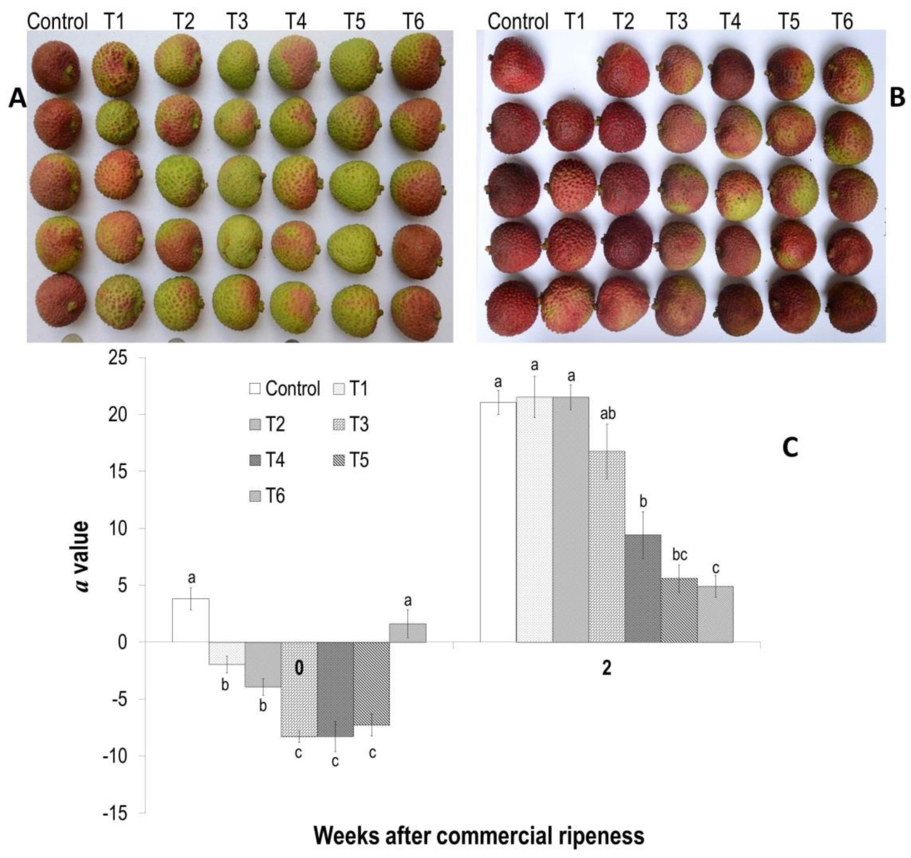 Horticulturae 08 01096 g003