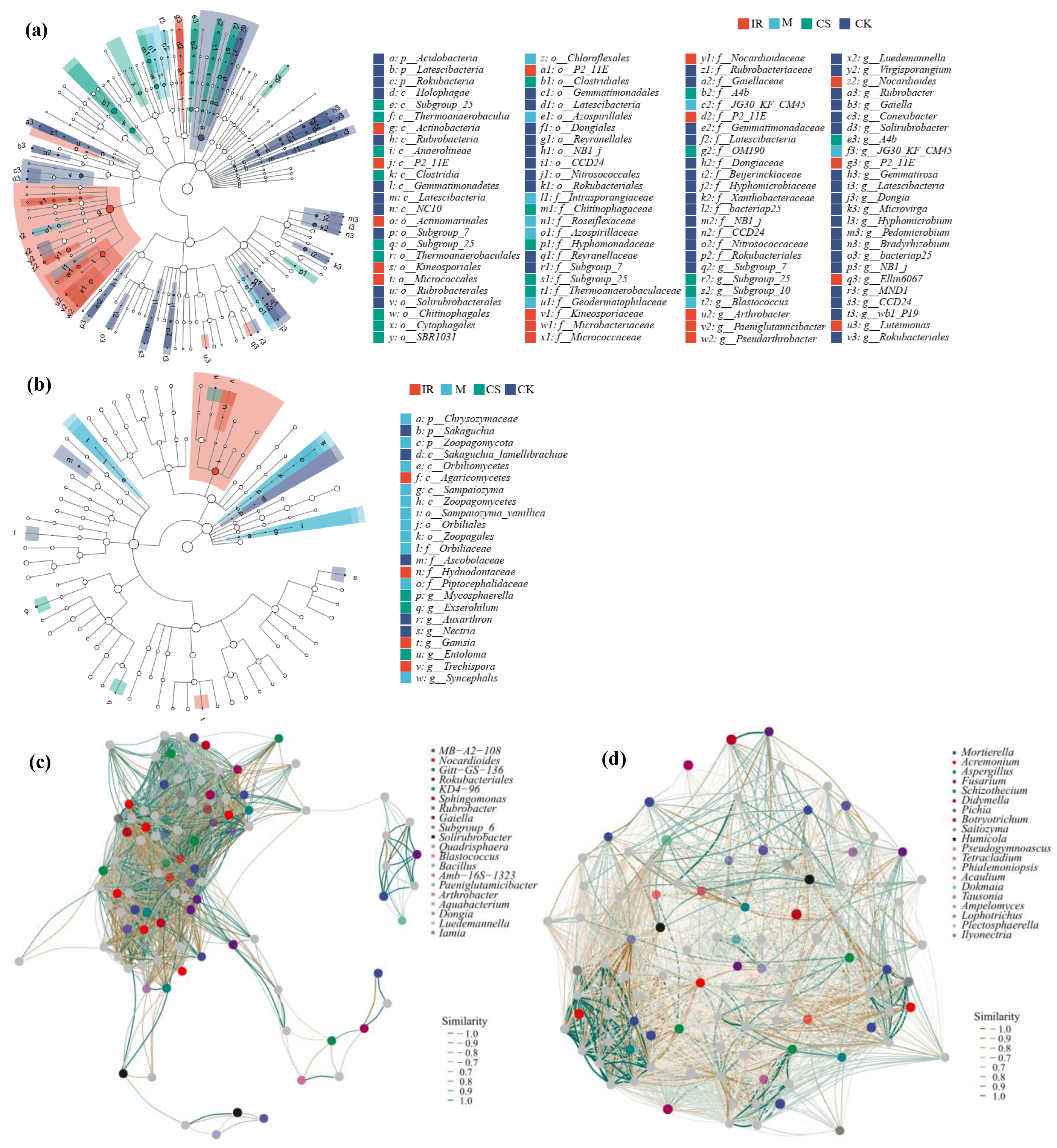 Horticulturae 08 01097 g006