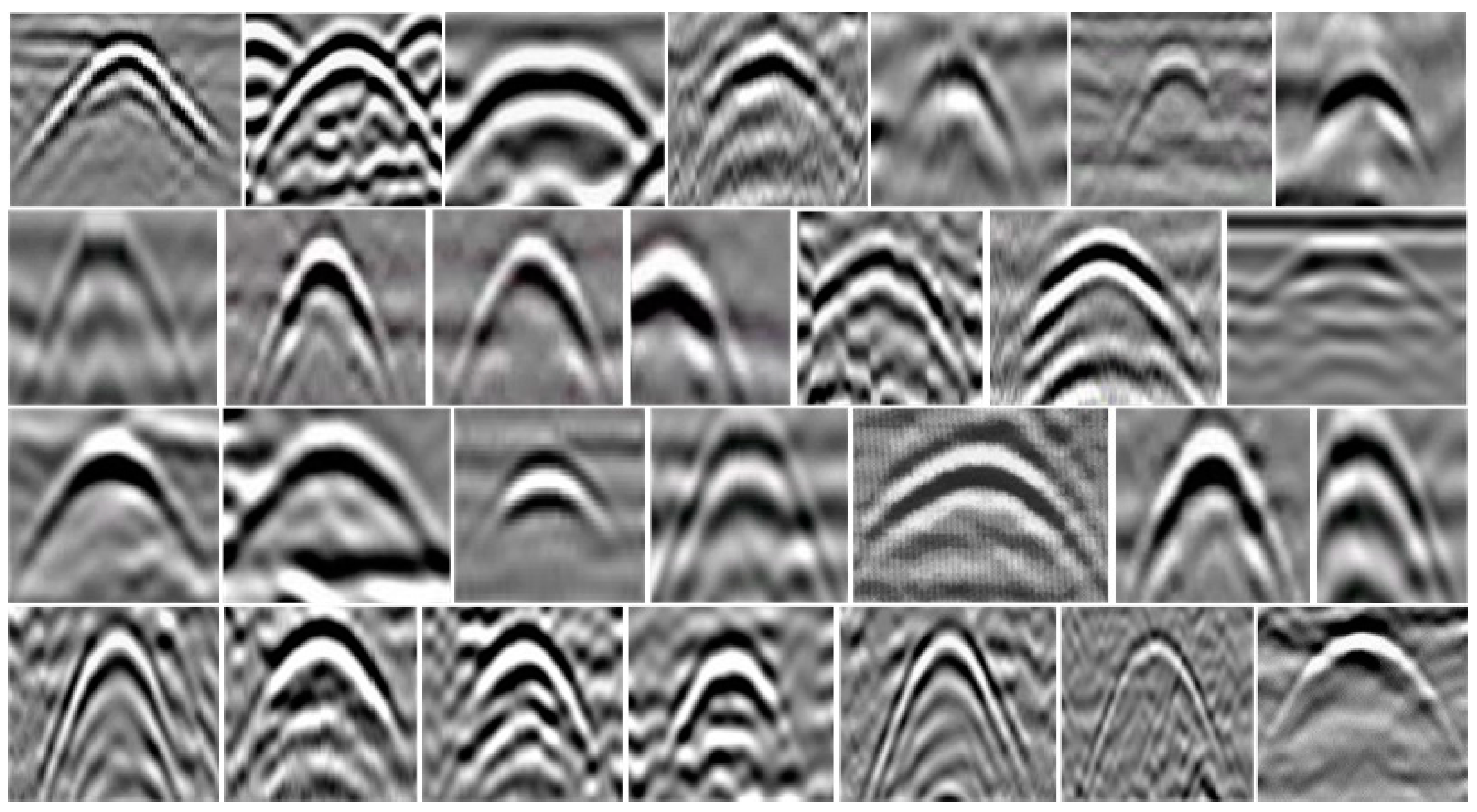 Horticulturae 08 01116 g002