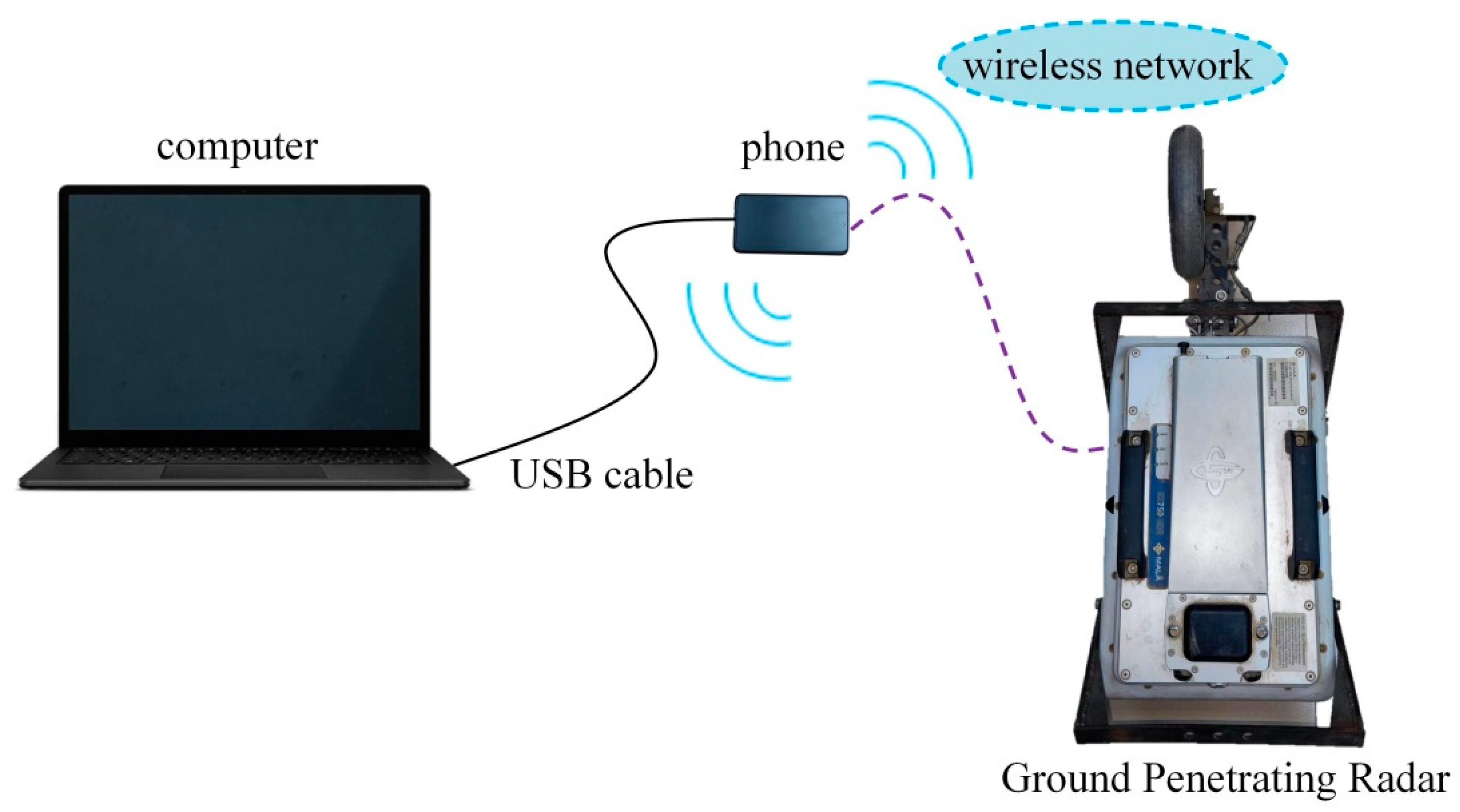 Horticulturae 08 01116 g005
