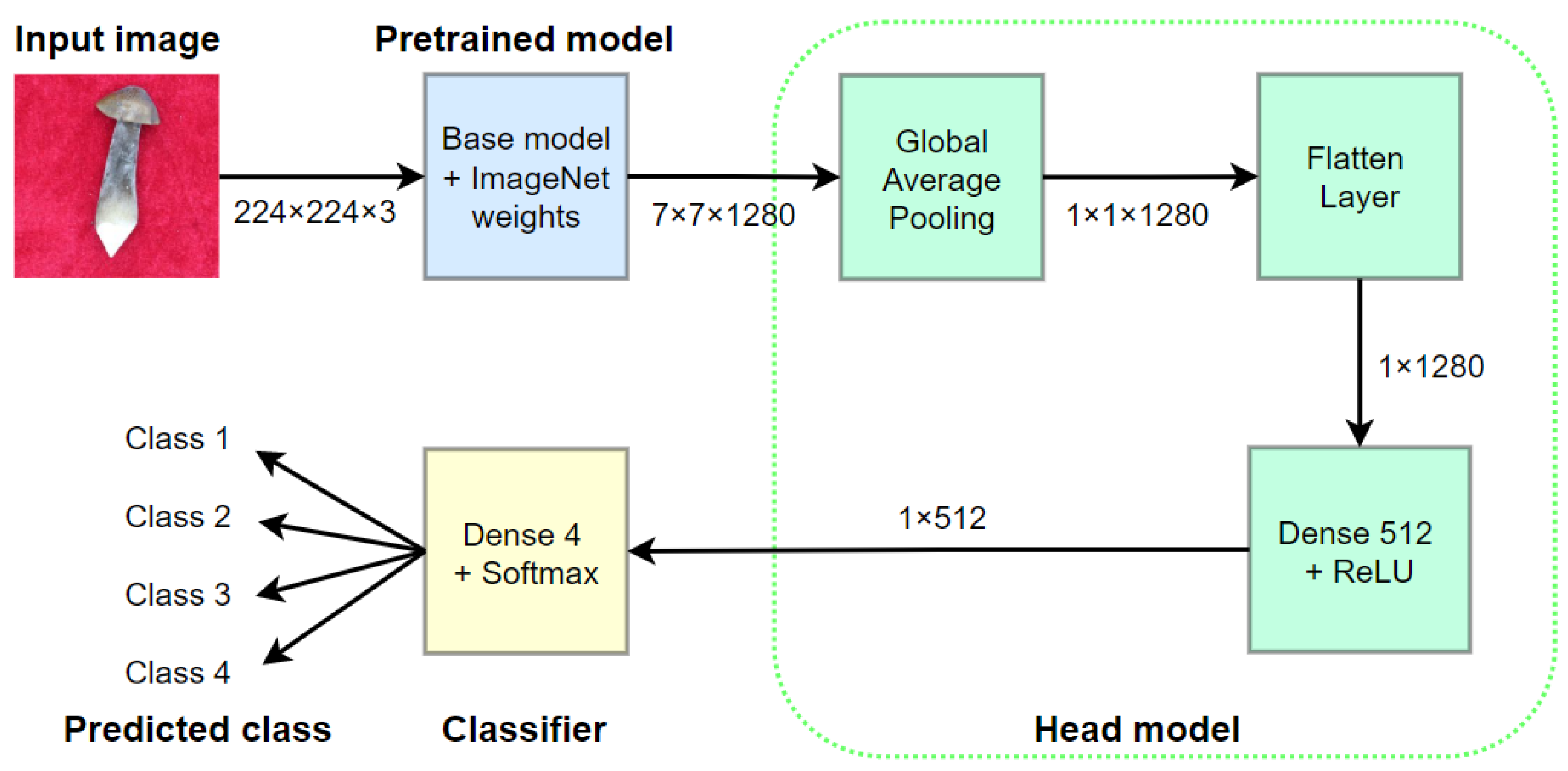 Horticulturae 08 01119 g003