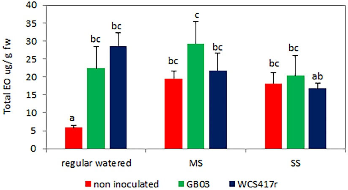 Horticulturae 08 01120 g001